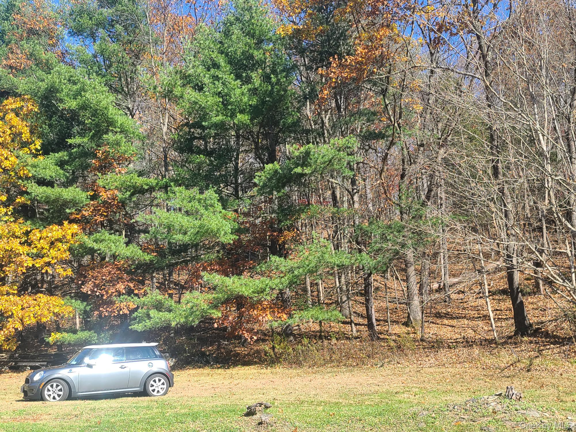 #5 photo, 461 White Schoolhouse Road, Rhinebeck , NY 12572