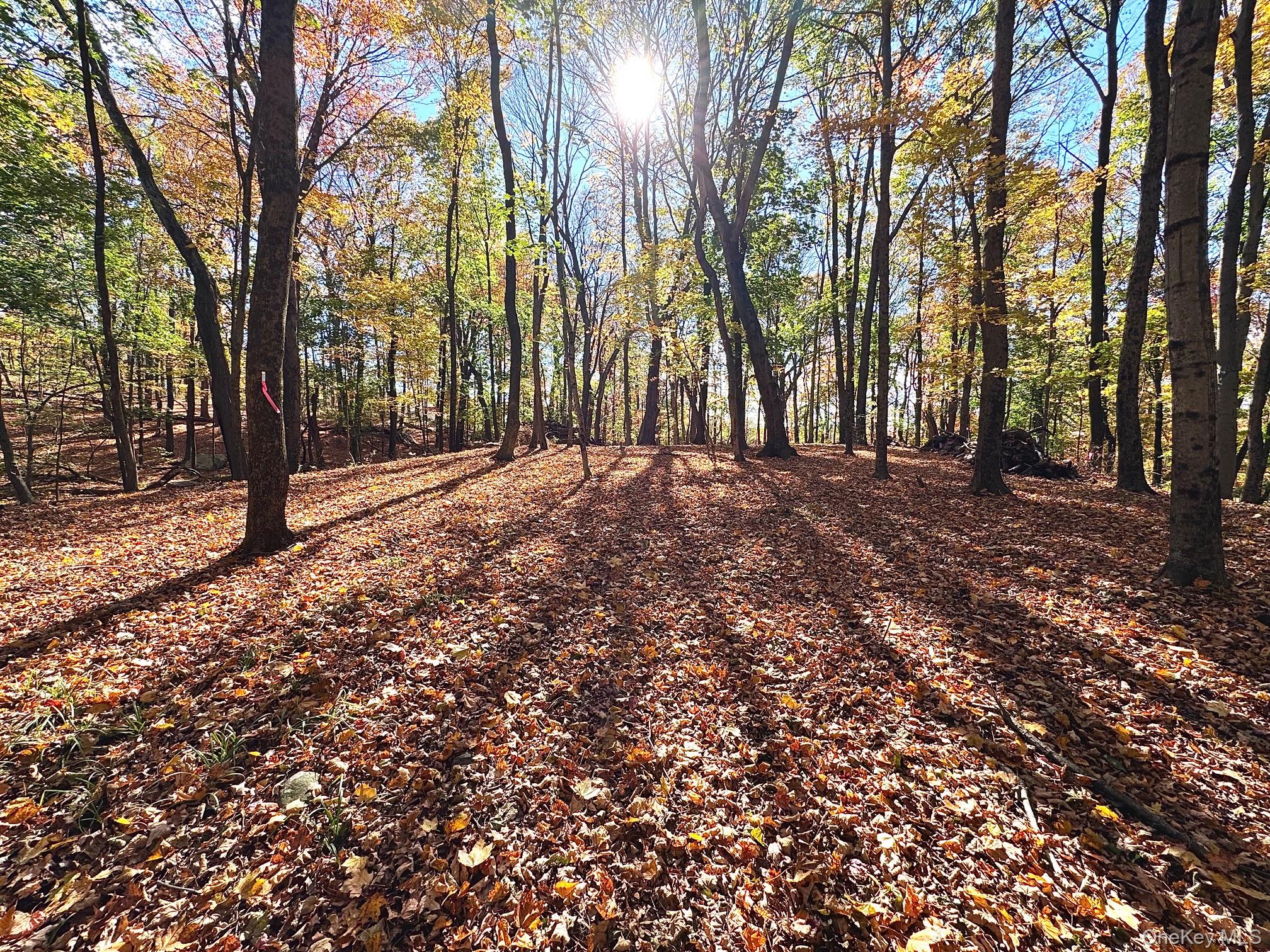 #4 photo, 94-3 Somerstown Road, Ossining , NY 10562