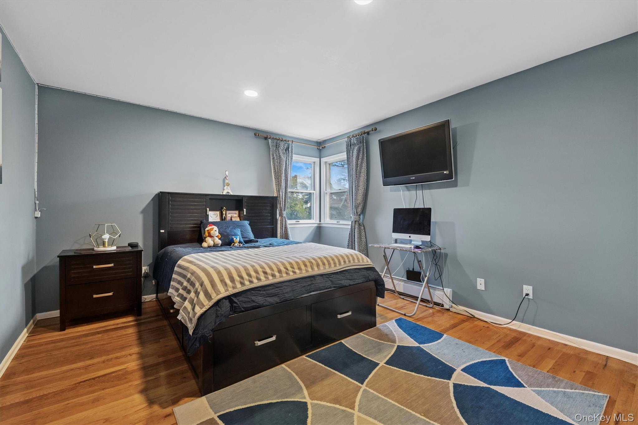 #14 photo, 115 Schley Avenue, Albertson , NY 11507