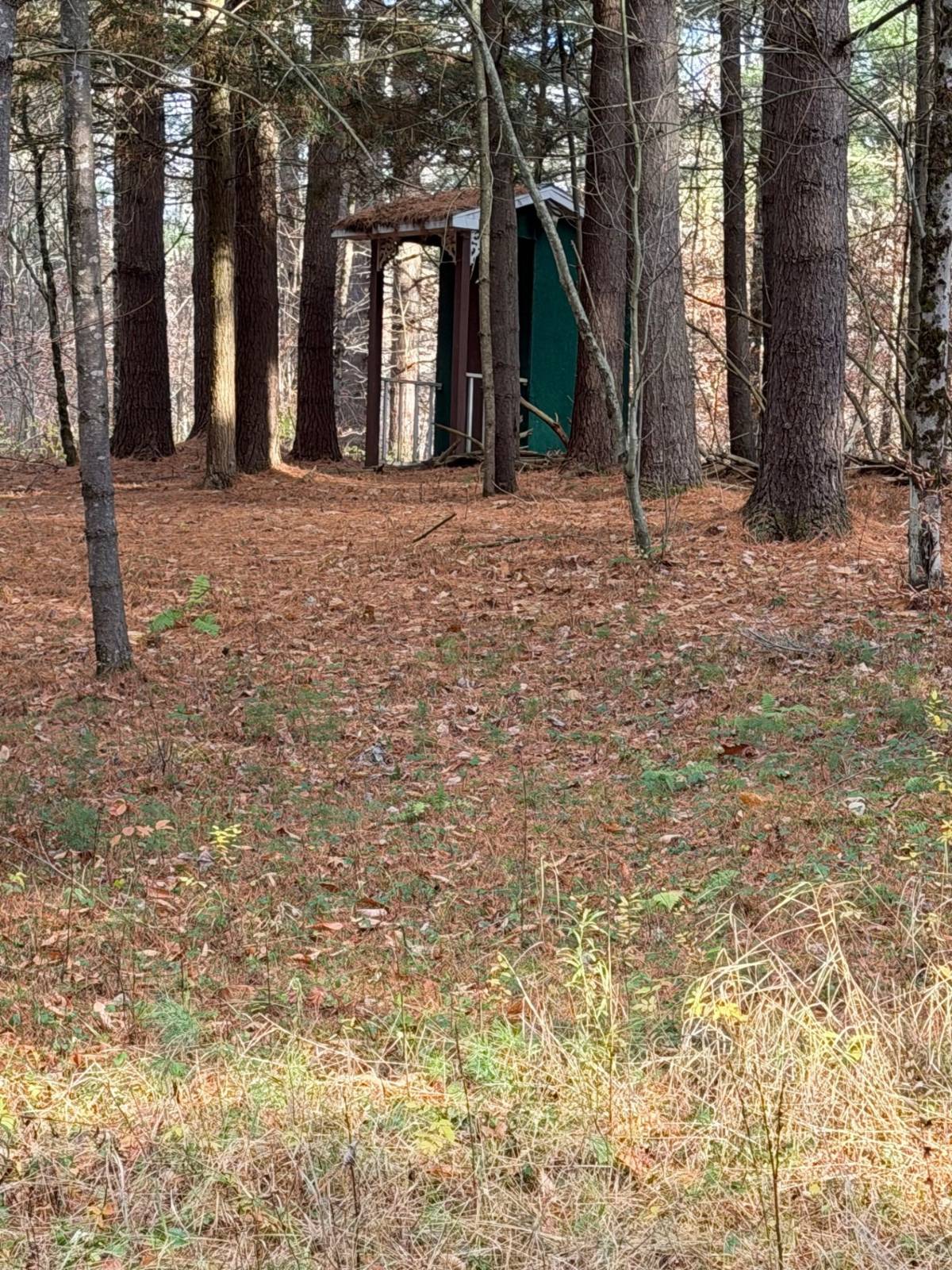 #10 photo, 1290 Sh 3, Harrisville , NY 13648