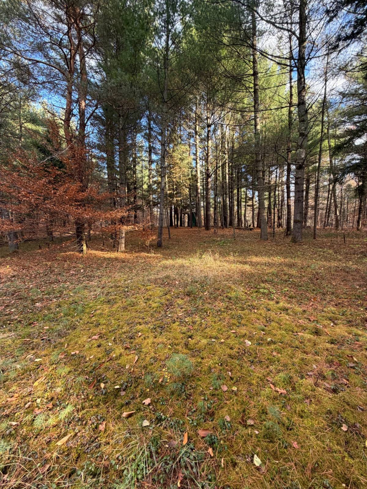 #11 photo, 1290 Sh 3, Harrisville , NY 13648