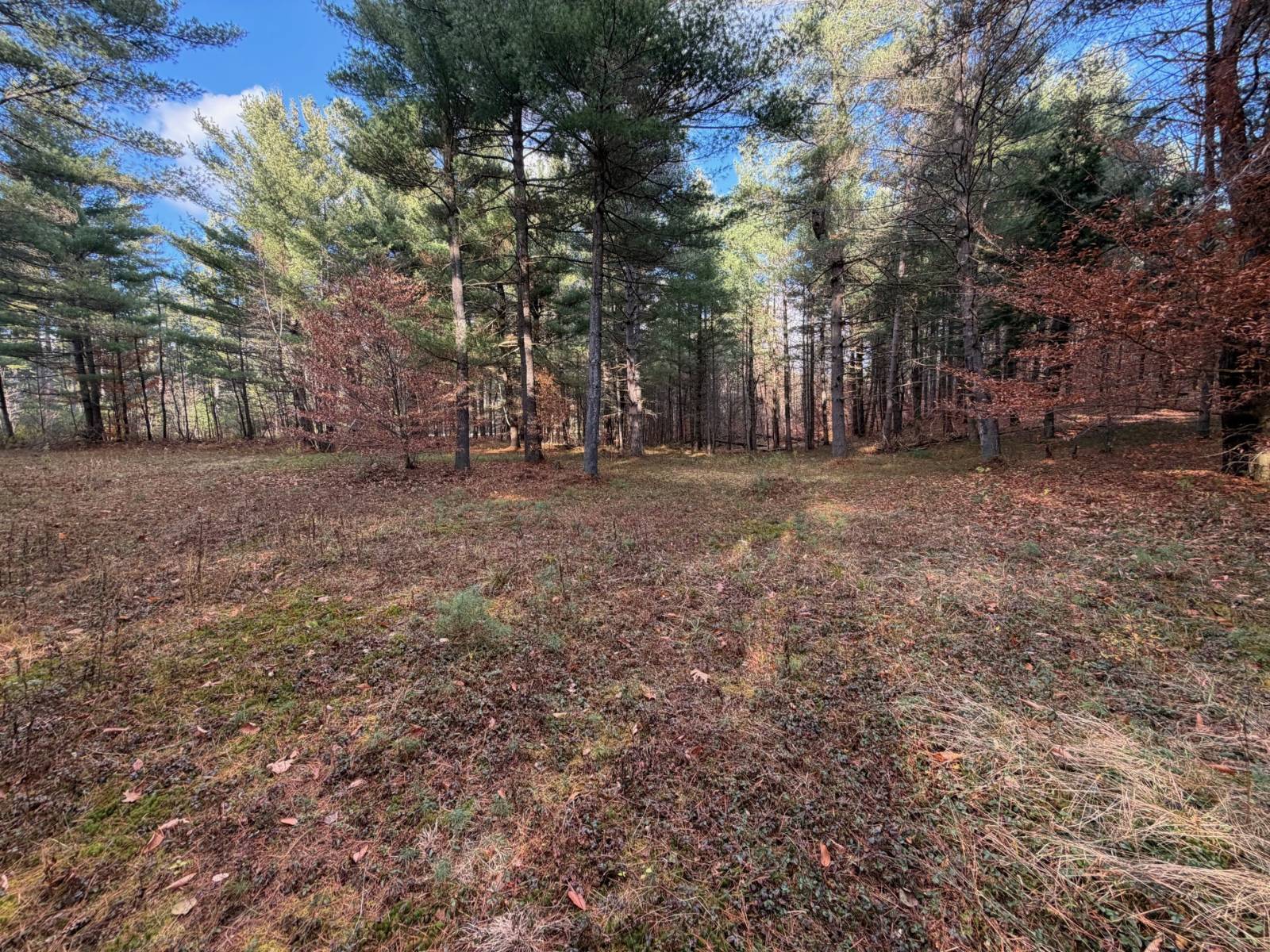 #12 photo, 1290 Sh 3, Harrisville , NY 13648