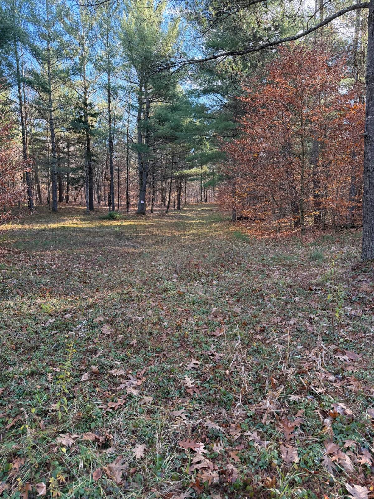 #14 photo, 1290 Sh 3, Harrisville , NY 13648