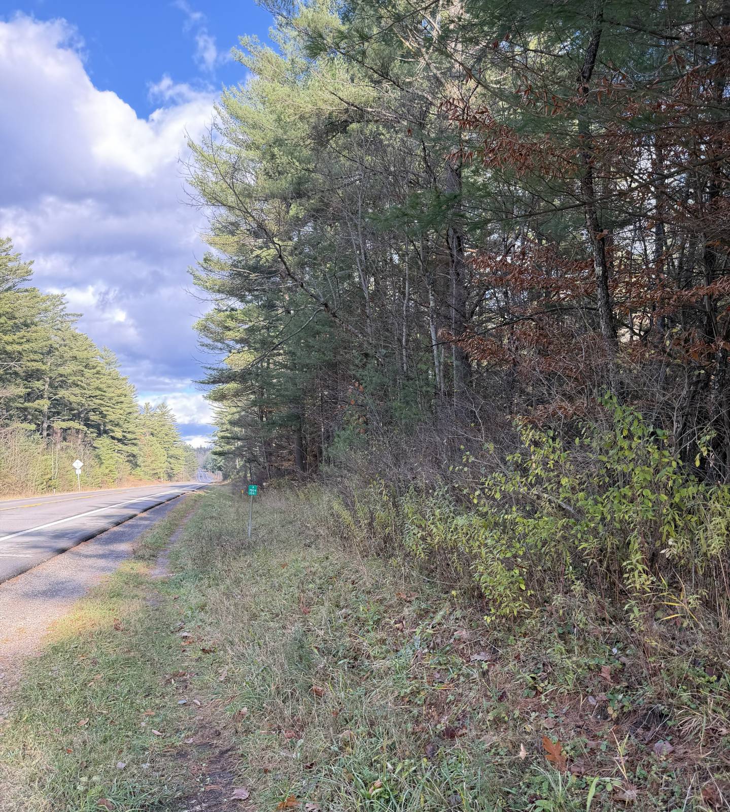 #19 photo, 1290 Sh 3, Harrisville , NY 13648