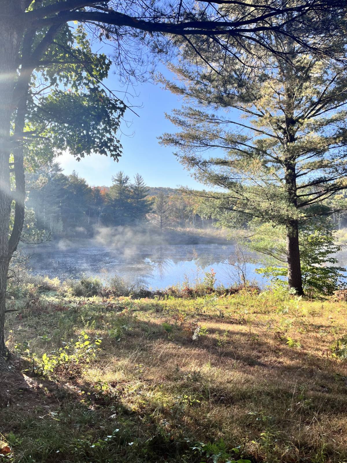 #2 photo, 1290 Sh 3, Harrisville , NY 13648