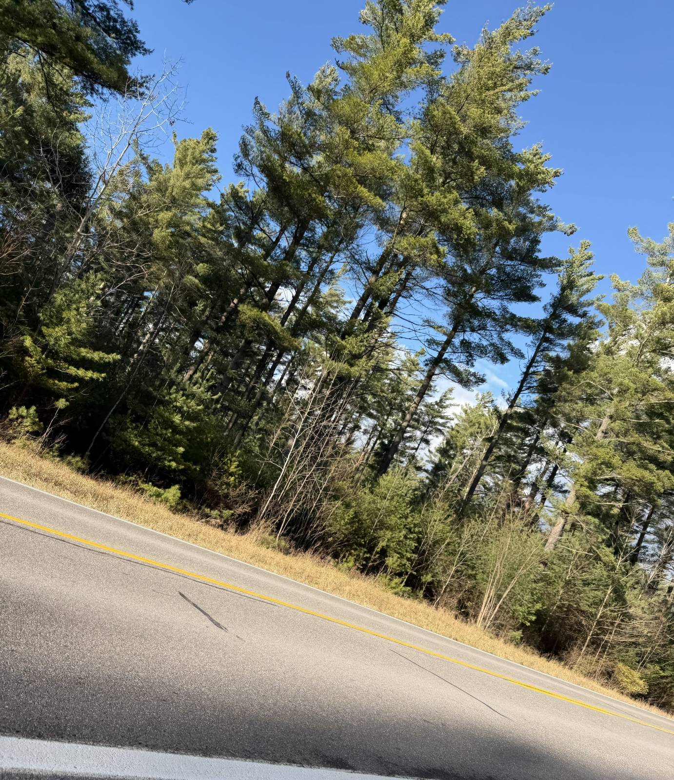 #21 photo, 1290 Sh 3, Harrisville , NY 13648