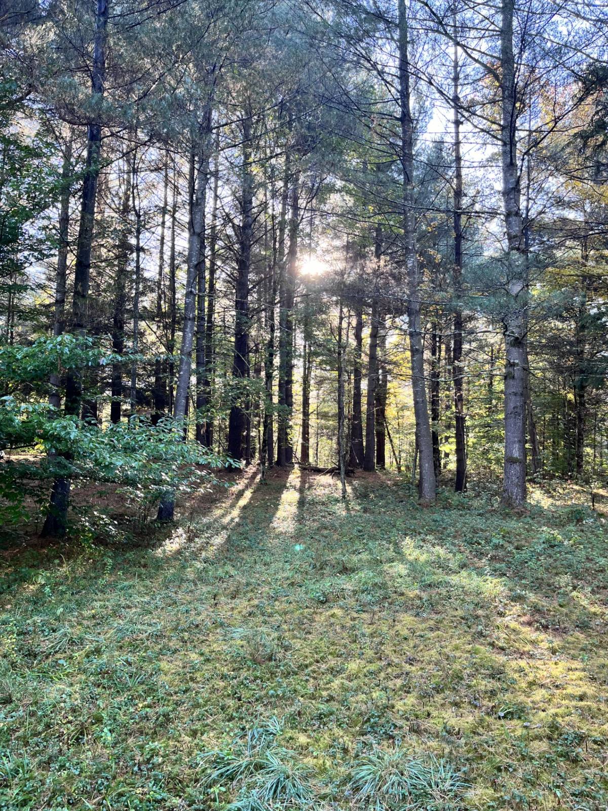 #23 photo, 1290 Sh 3, Harrisville , NY 13648