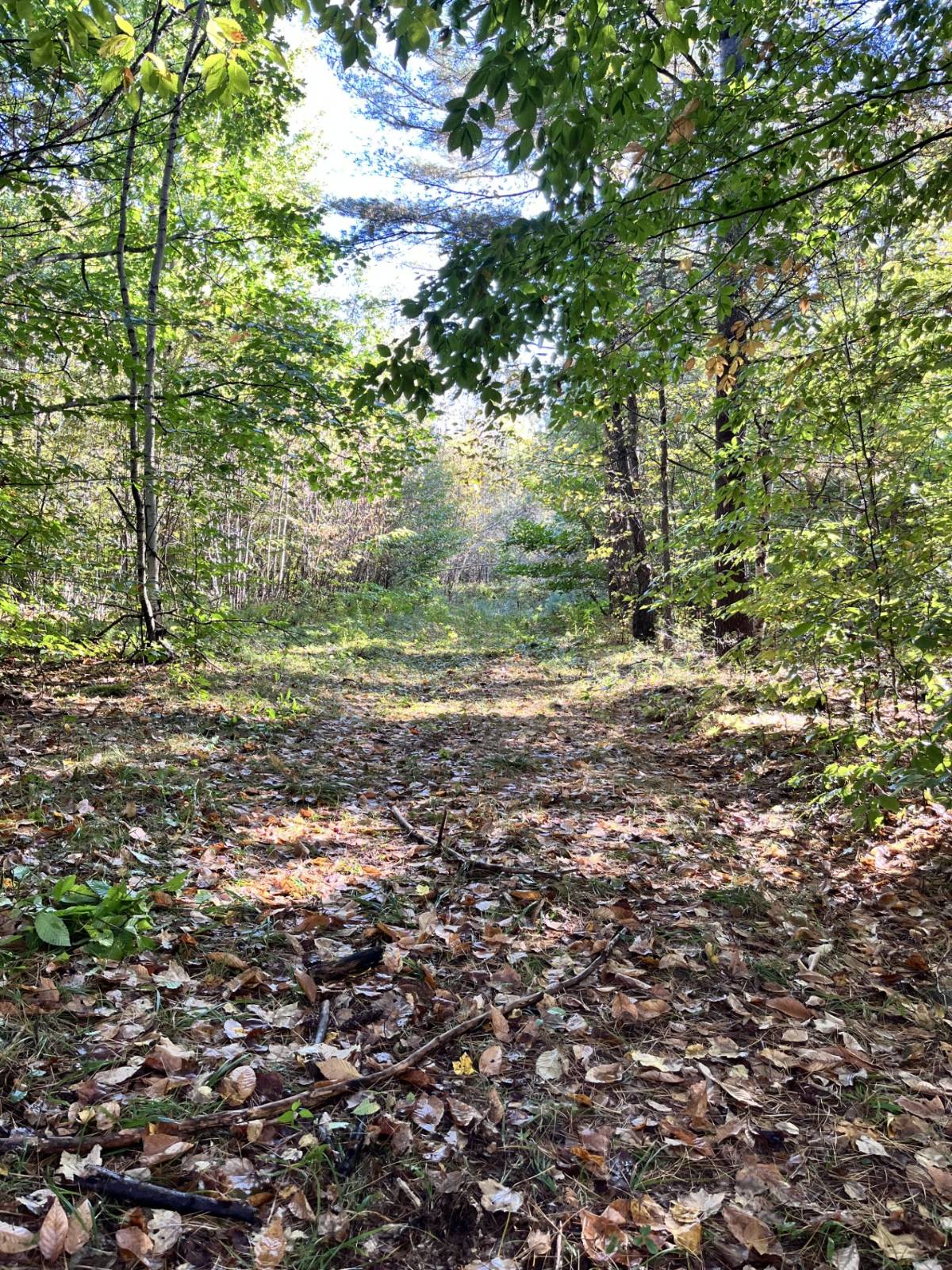 #25 photo, 1290 Sh 3, Harrisville , NY 13648