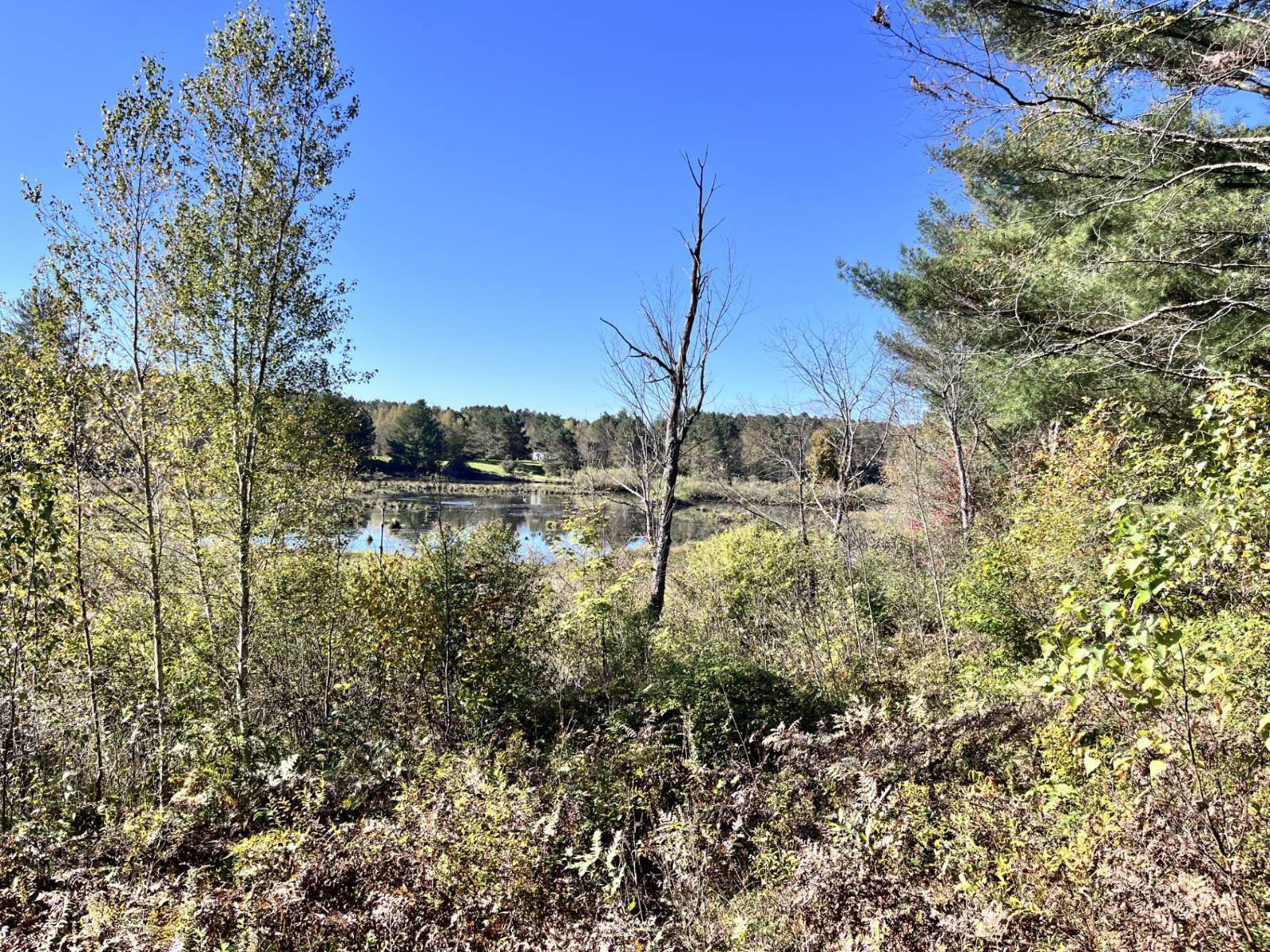 #26 photo, 1290 Sh 3, Harrisville , NY 13648