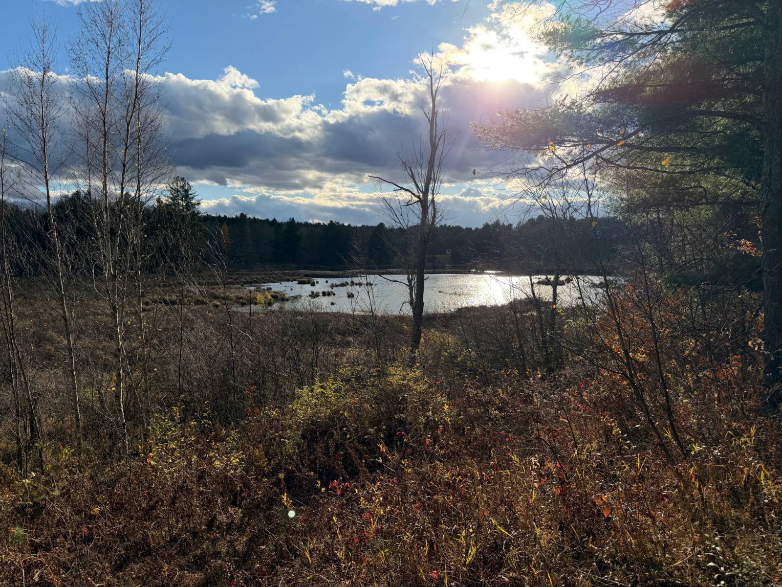 #3 photo, 1290 Sh 3, Harrisville , NY 13648