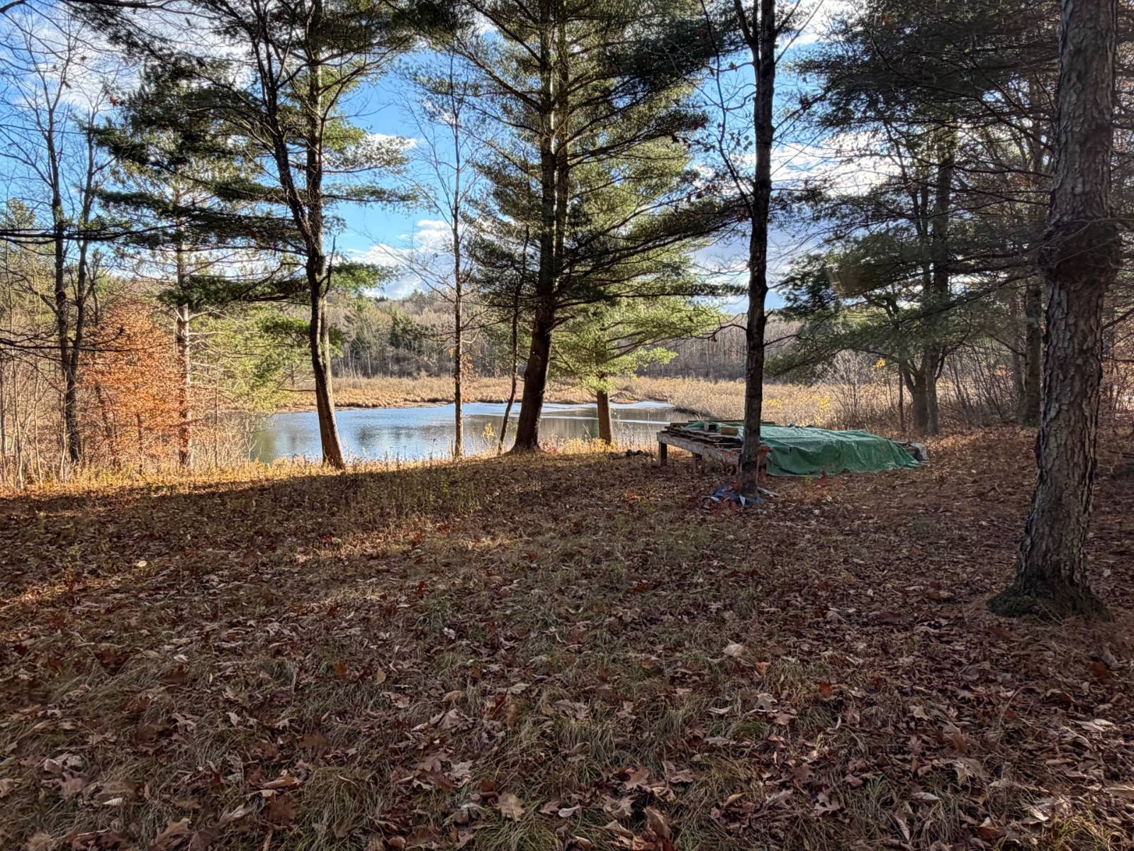 #4 photo, 1290 Sh 3, Harrisville , NY 13648