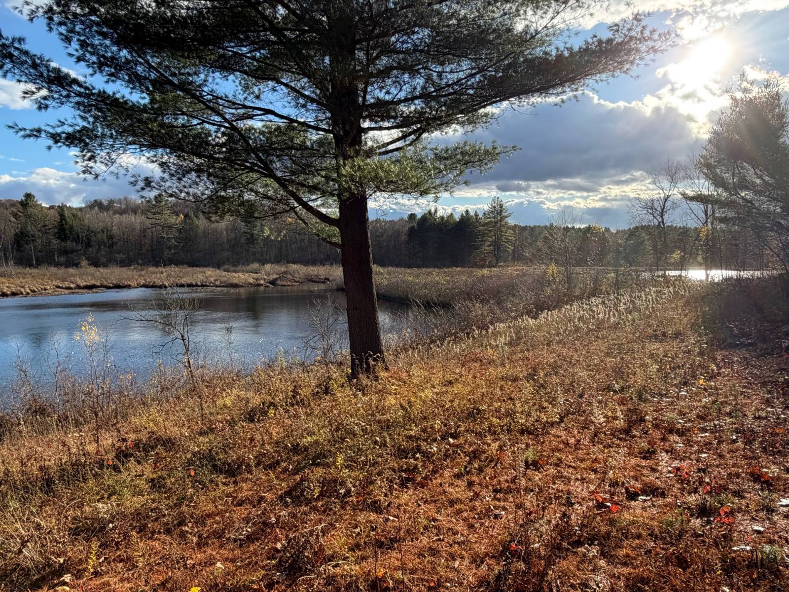 #5 photo, 1290 Sh 3, Harrisville , NY 13648