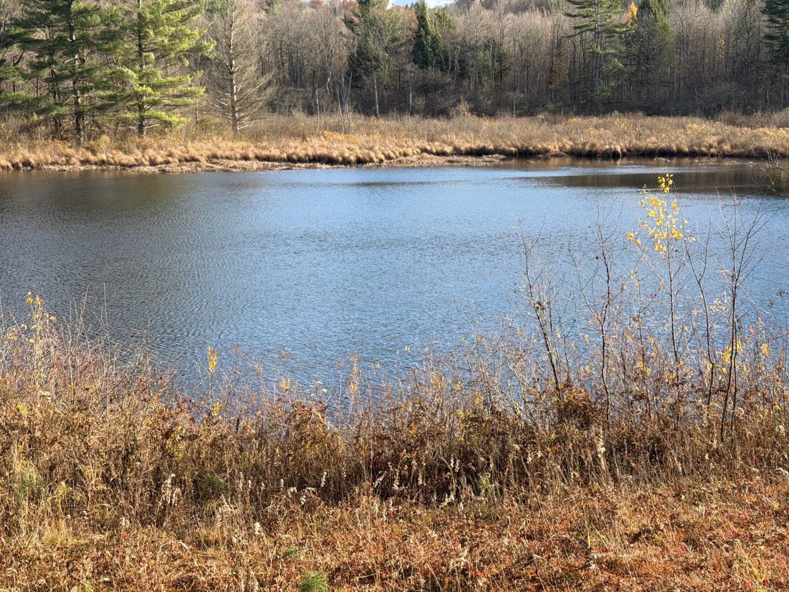 #6 photo, 1290 Sh 3, Harrisville , NY 13648