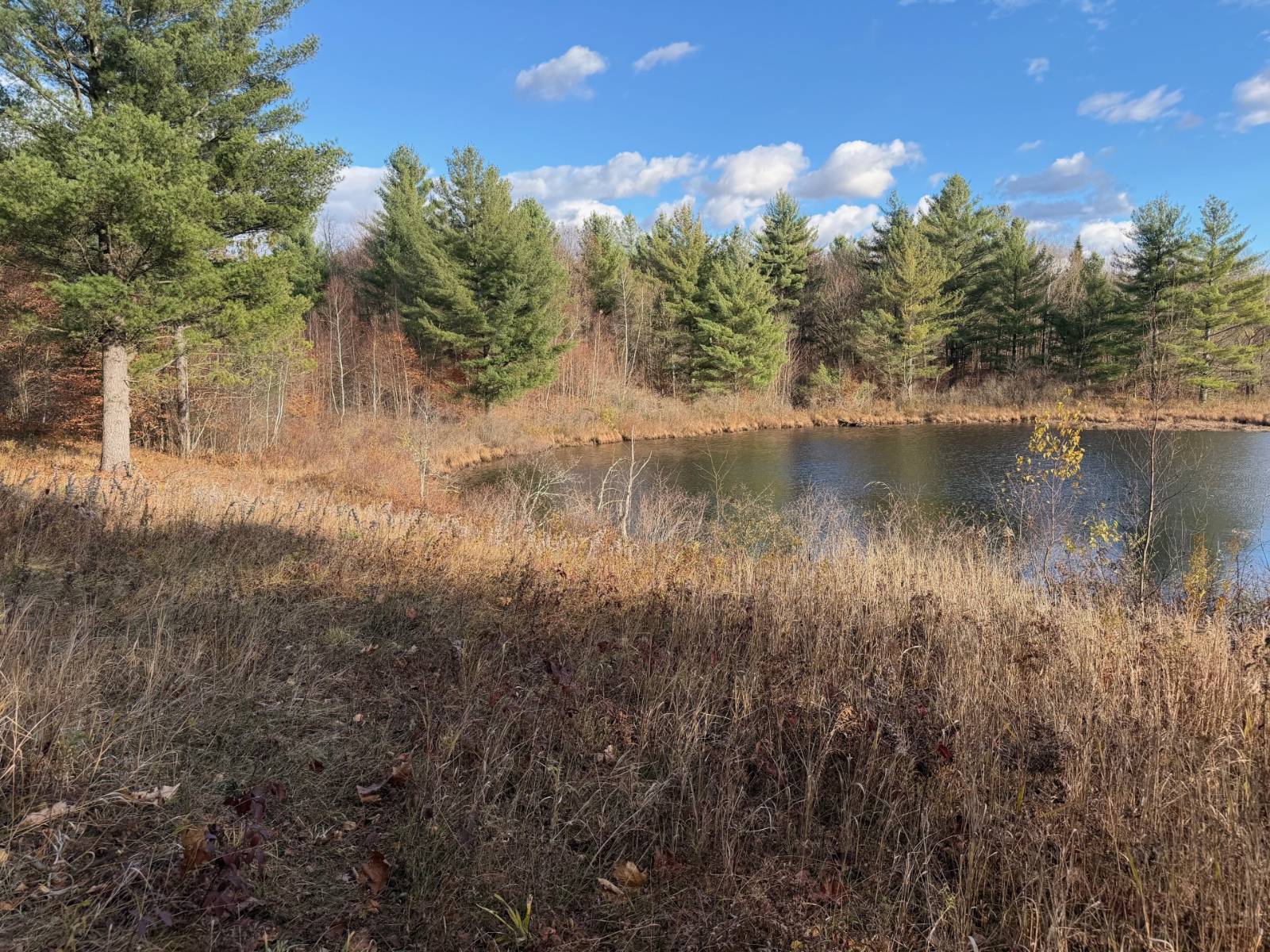 #7 photo, 1290 Sh 3, Harrisville , NY 13648