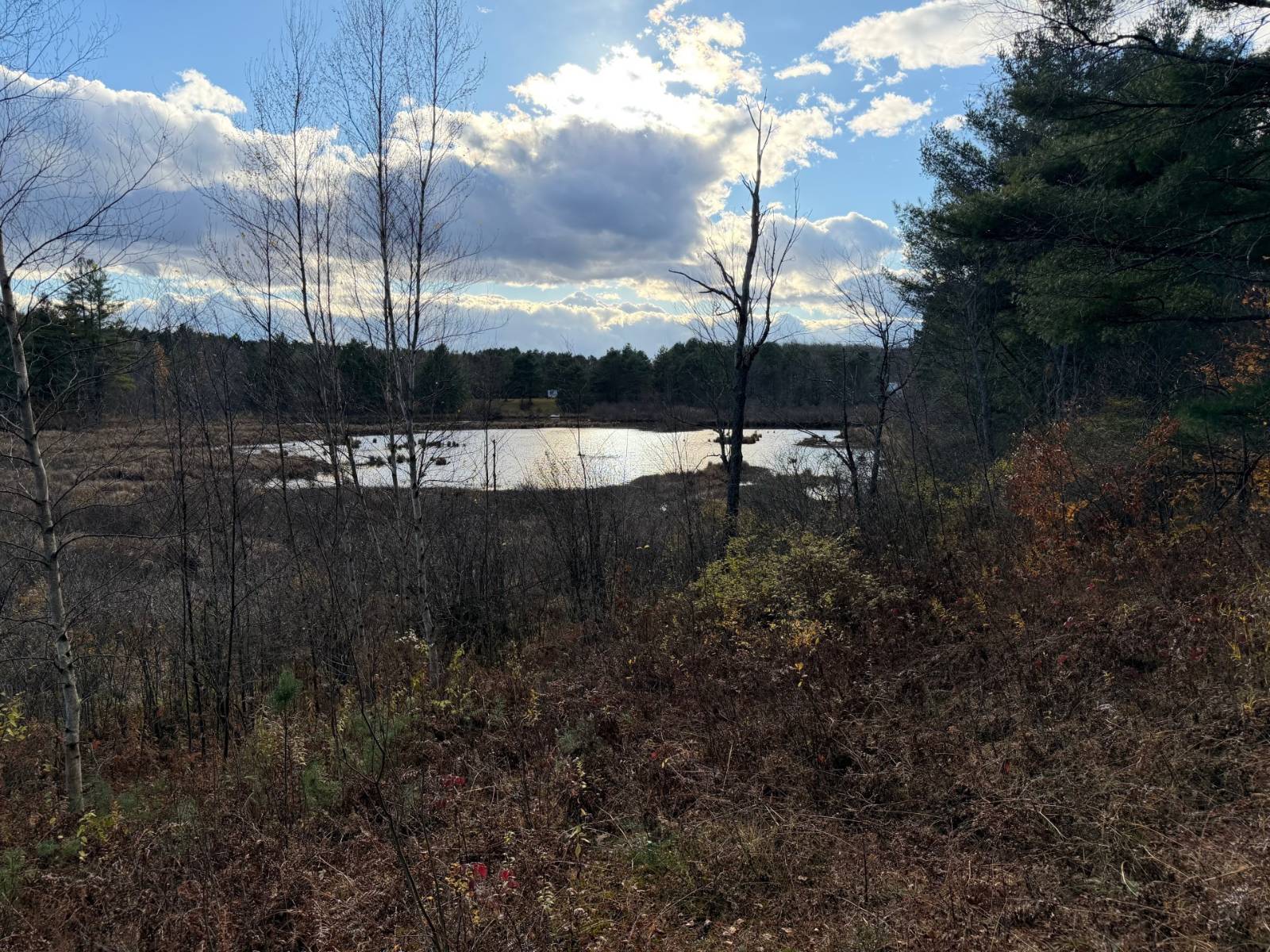 #8 photo, 1290 Sh 3, Harrisville , NY 13648