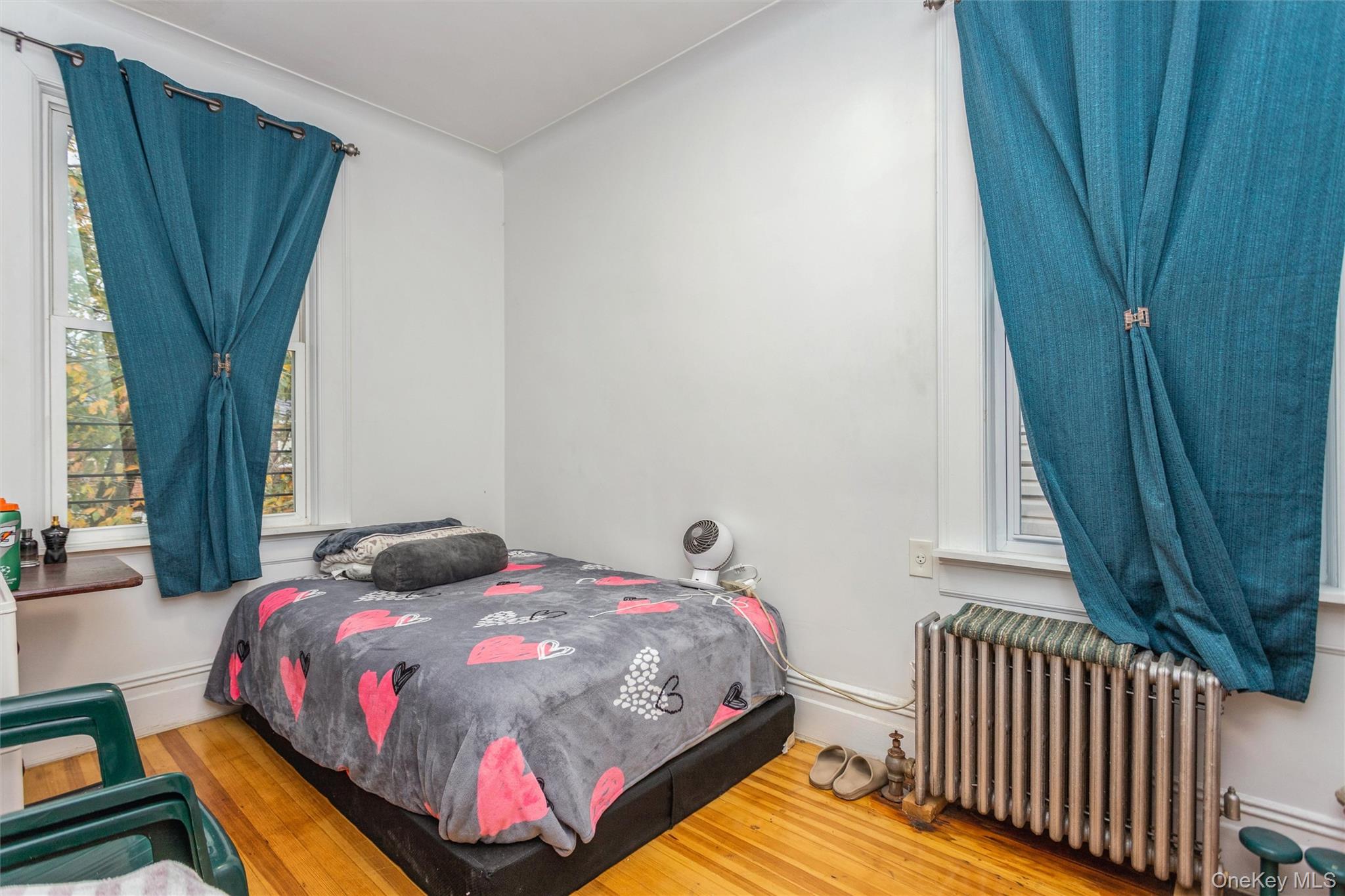 #19 photo, 1646 Radcliff Avenue, Bronx , NY 10462