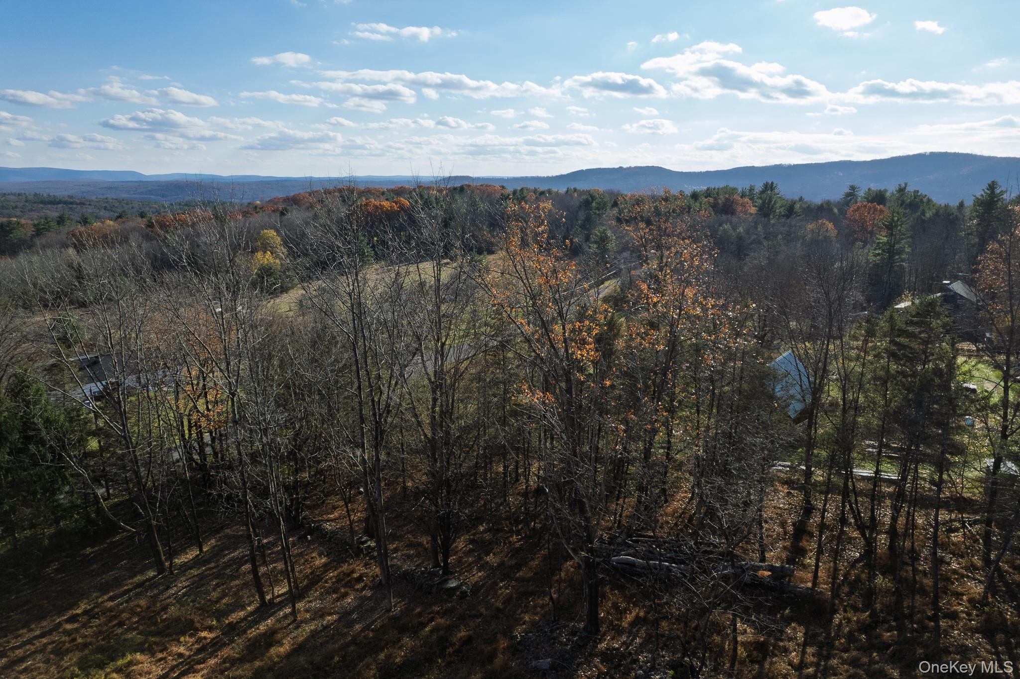 #17 photo, 15 Deans Road, Grahamsville , NY 12458