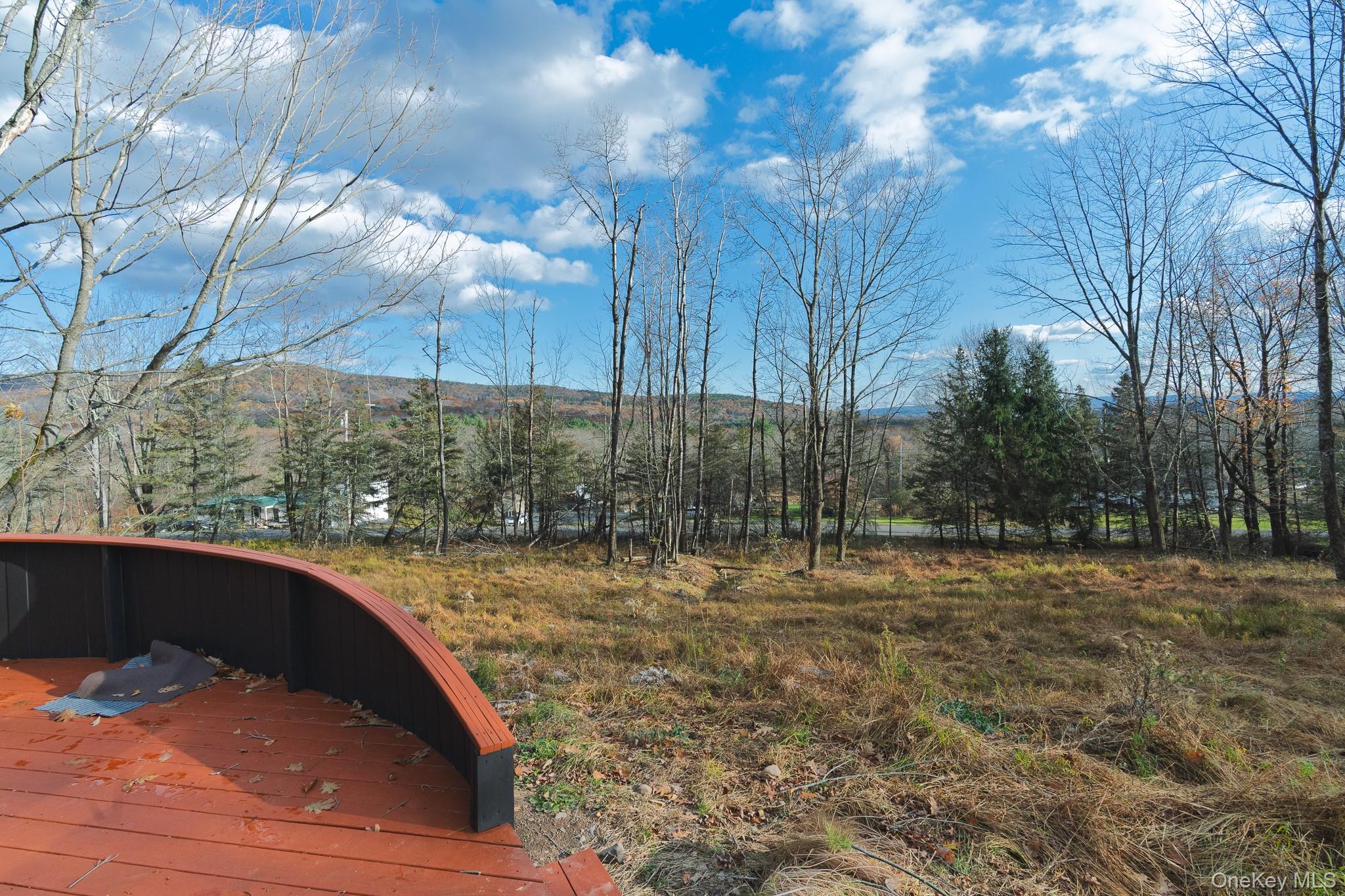 #18 photo, 15 Deans Road, Grahamsville , NY 12458