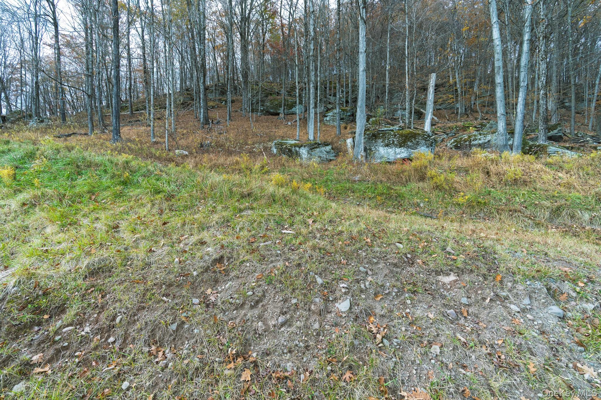 #20 photo, 15 Deans Road, Grahamsville , NY 12458