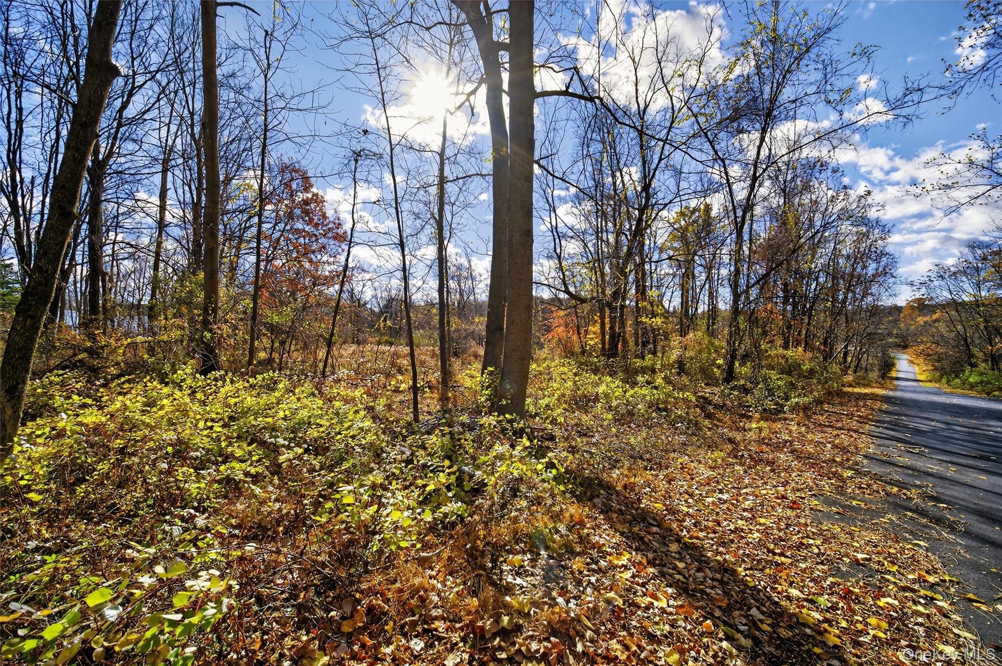 #10 photo, 77 Pine Island Turnpike, Warwick , NY 10990