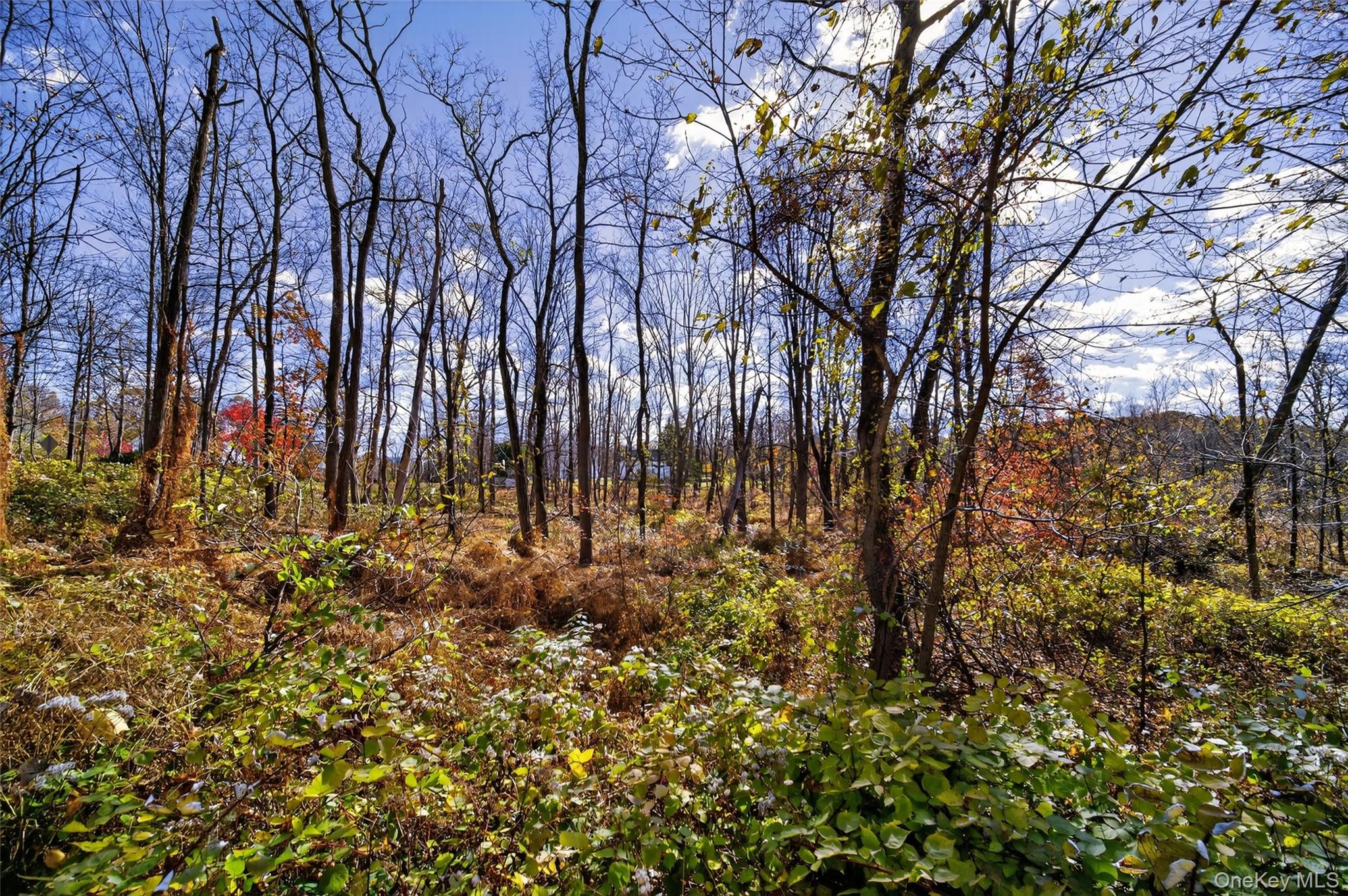 #11 photo, 77 Pine Island Turnpike, Warwick , NY 10990