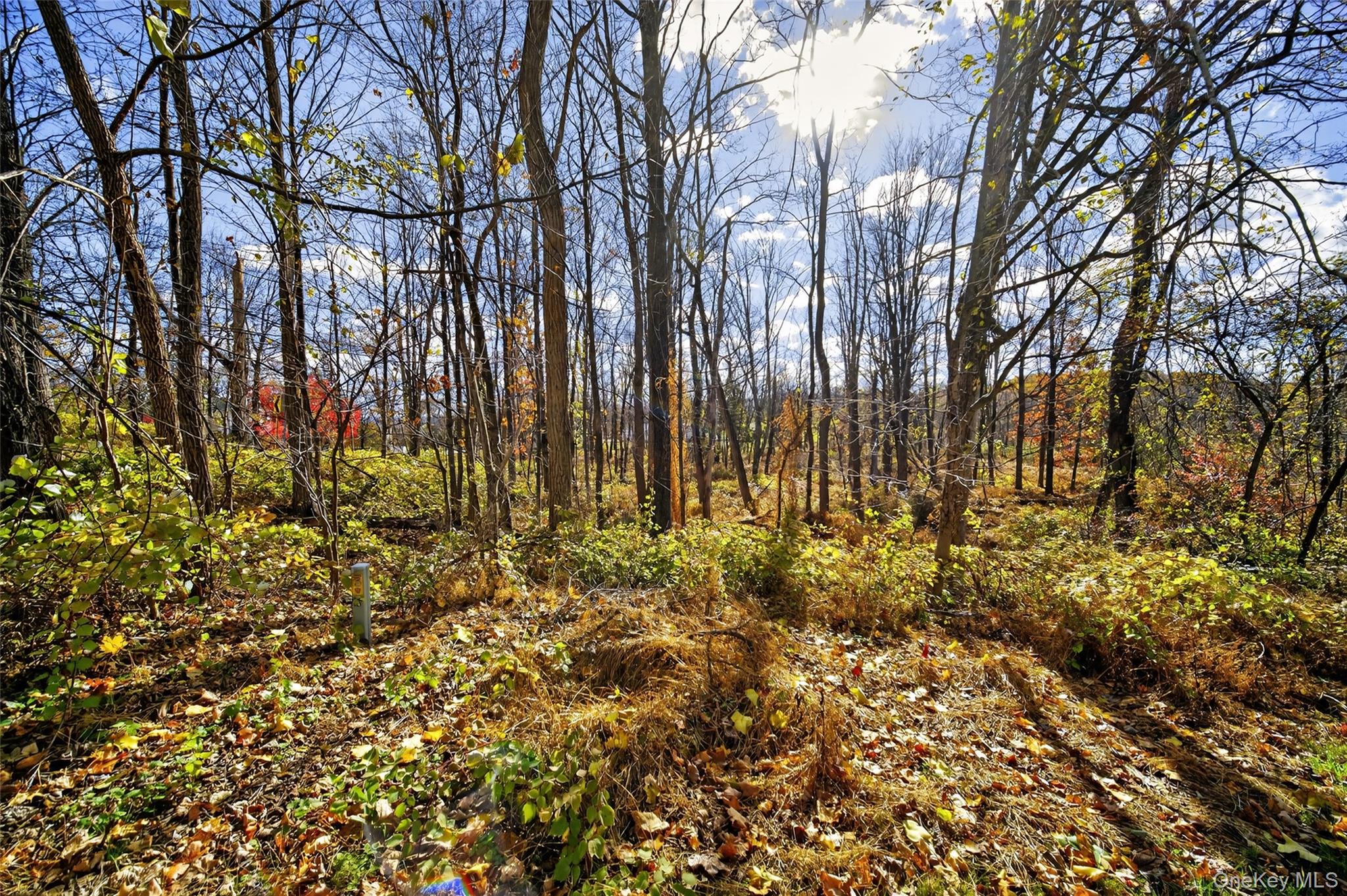 #12 photo, 77 Pine Island Turnpike, Warwick , NY 10990