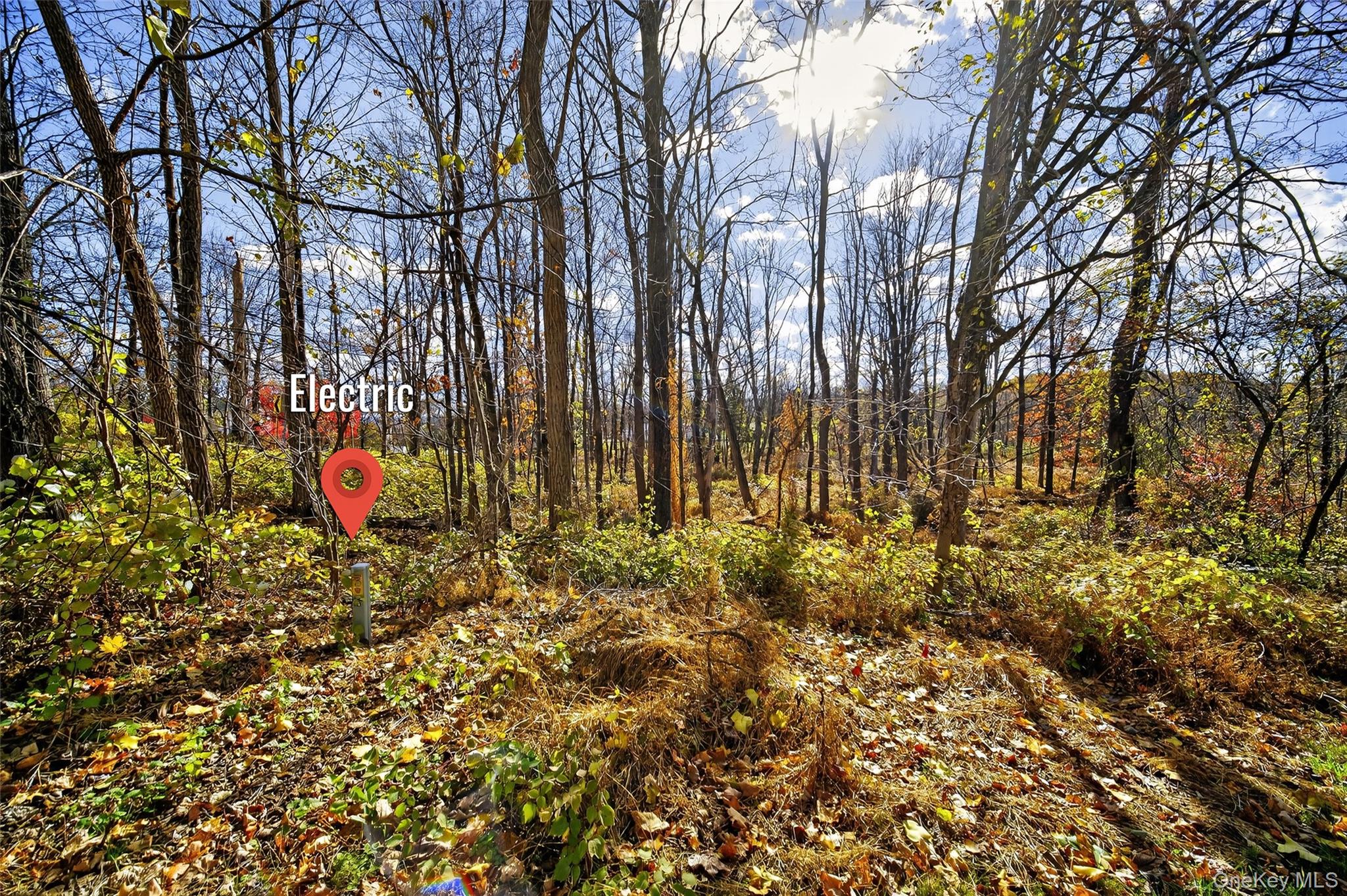 #13 photo, 77 Pine Island Turnpike, Warwick , NY 10990