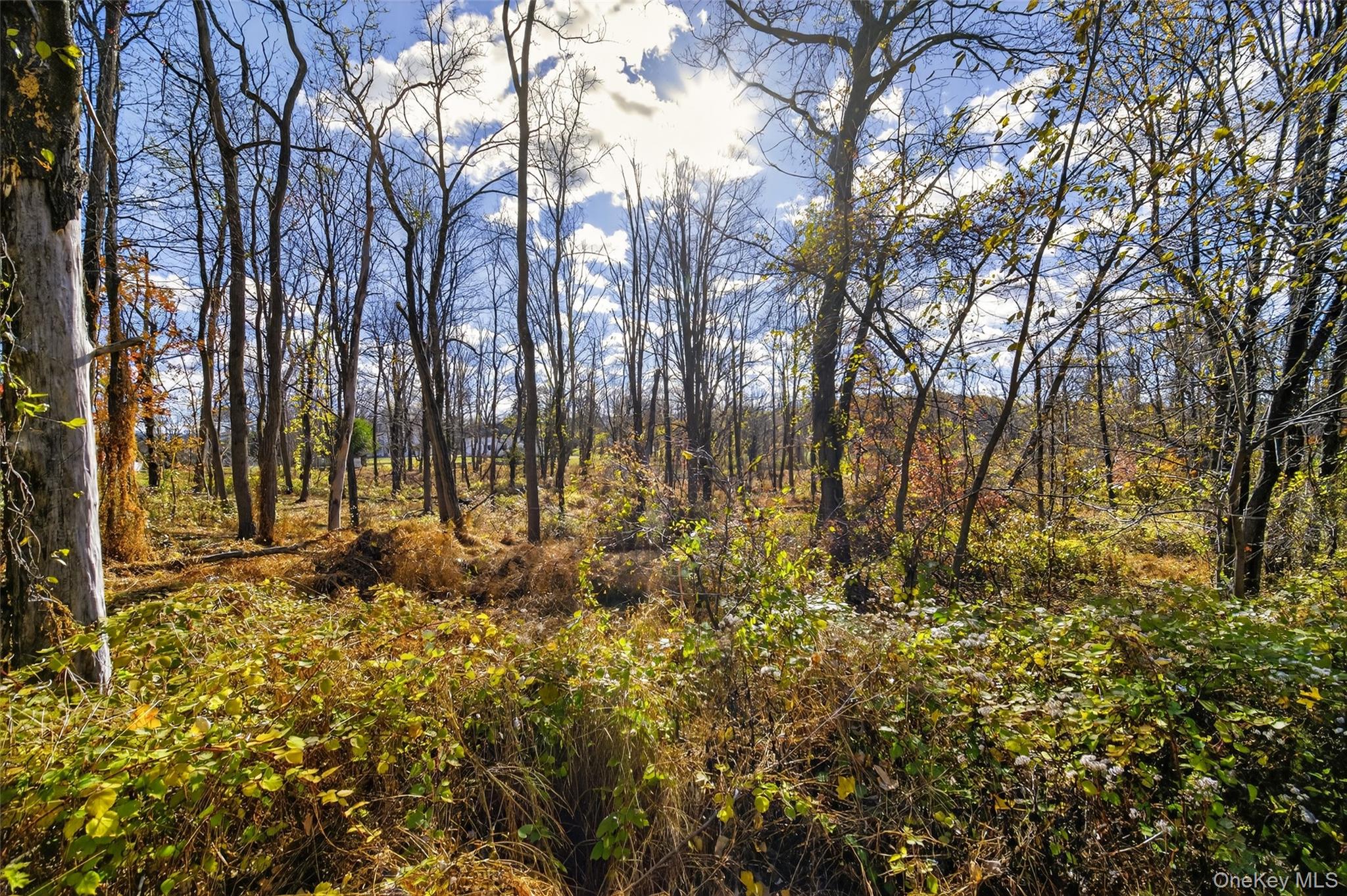 #16 photo, 77 Pine Island Turnpike, Warwick , NY 10990