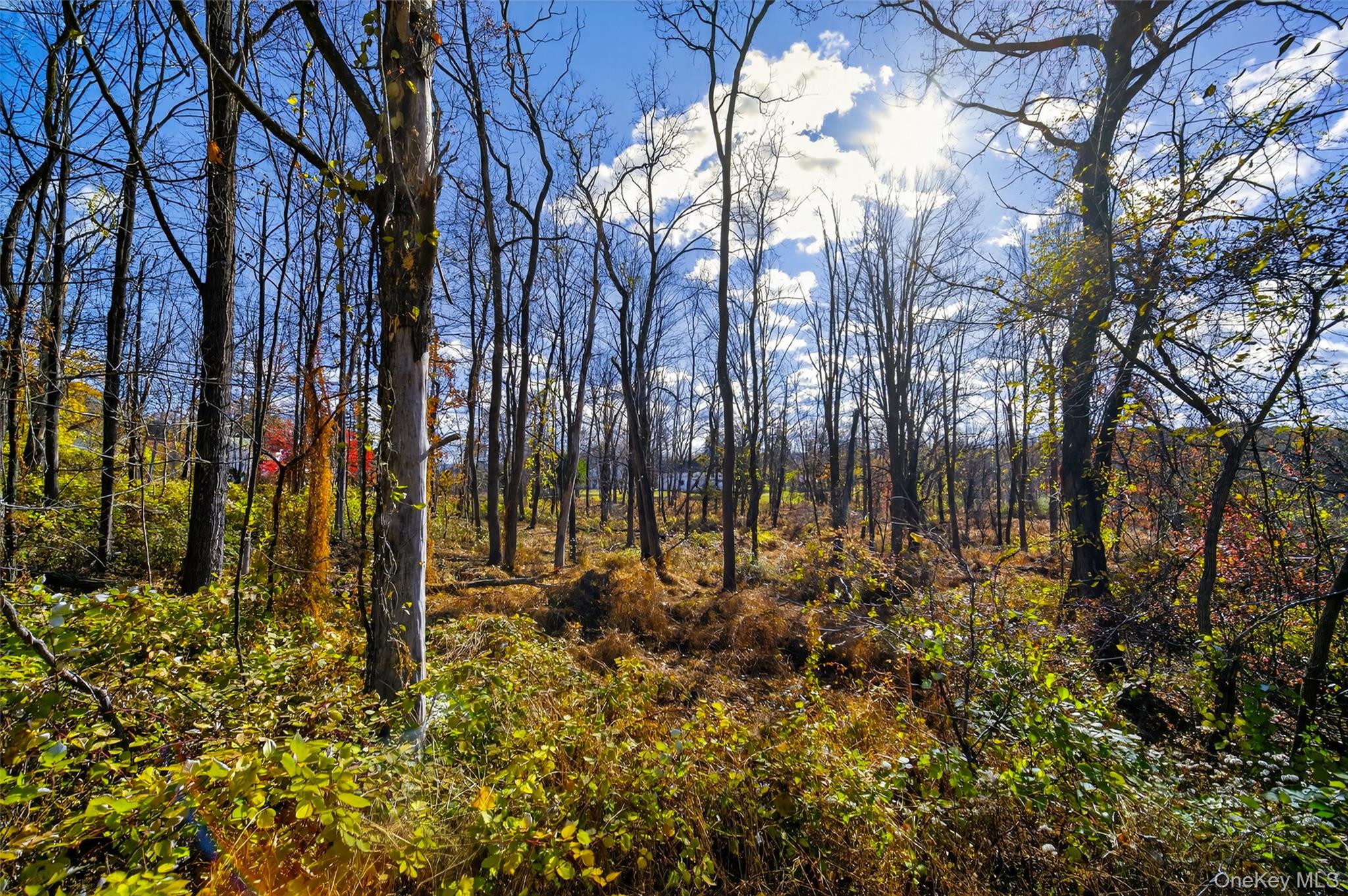 #17 photo, 77 Pine Island Turnpike, Warwick , NY 10990