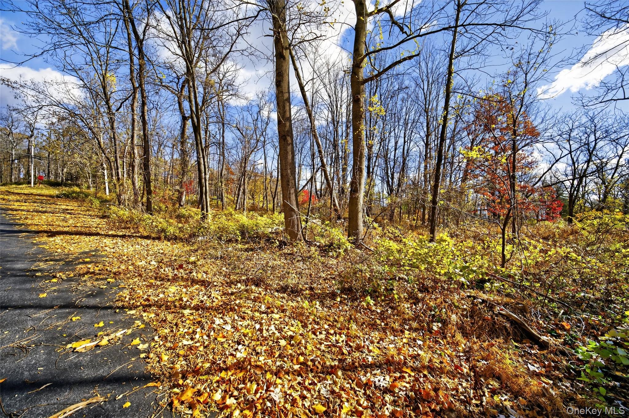 #18 photo, 77 Pine Island Turnpike, Warwick , NY 10990