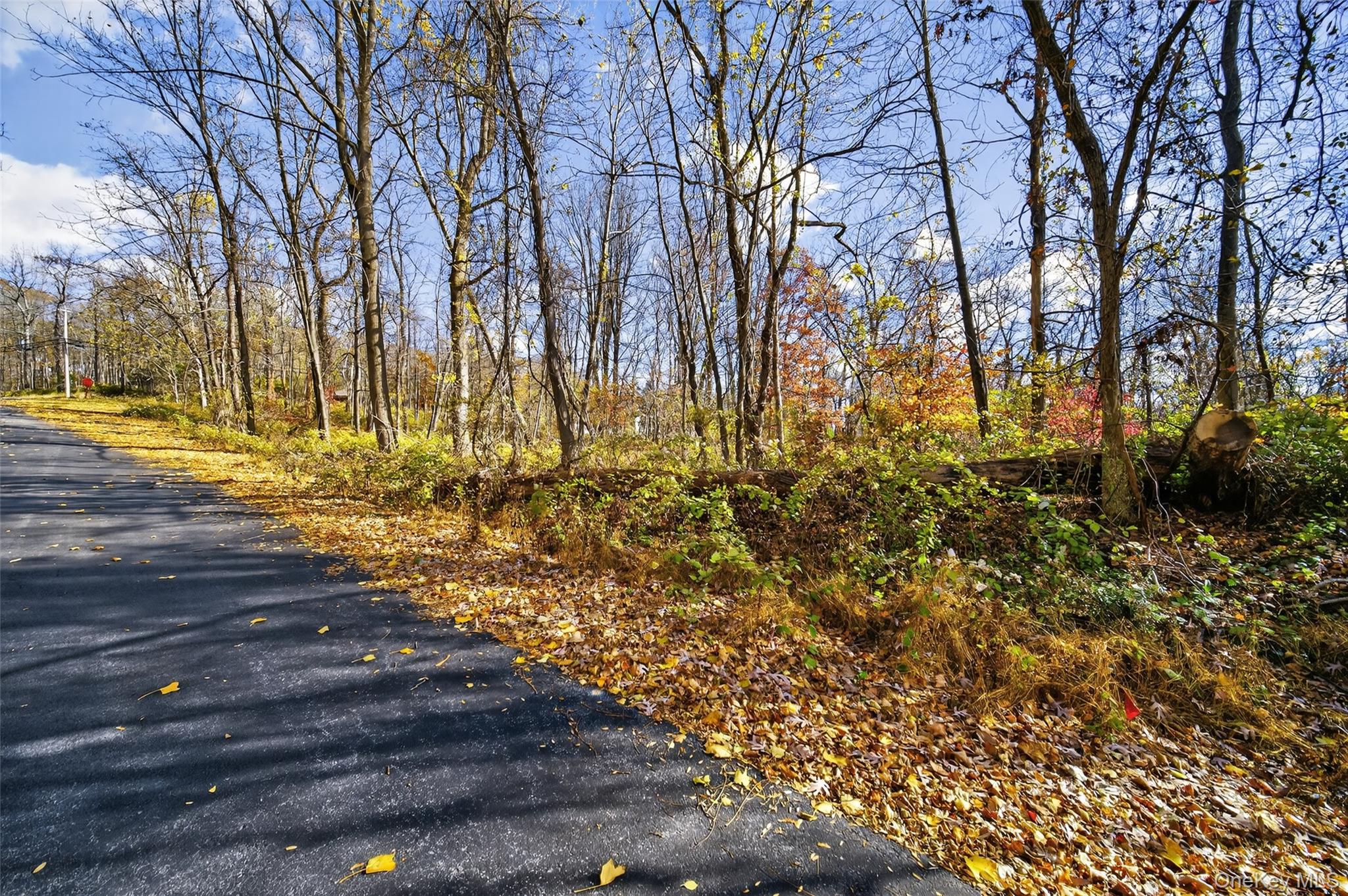 #19 photo, 77 Pine Island Turnpike, Warwick , NY 10990