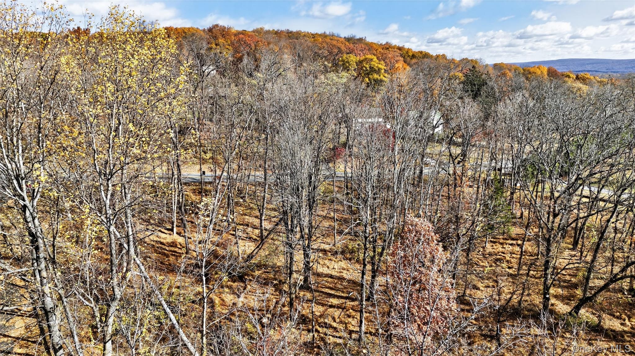 #7 photo, 77 Pine Island Turnpike, Warwick , NY 10990