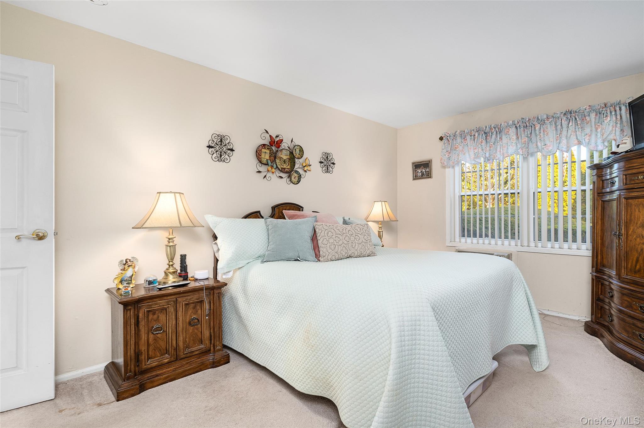 #9 photo, 307-13 Hicksville Road, Bethpage , NY 11714