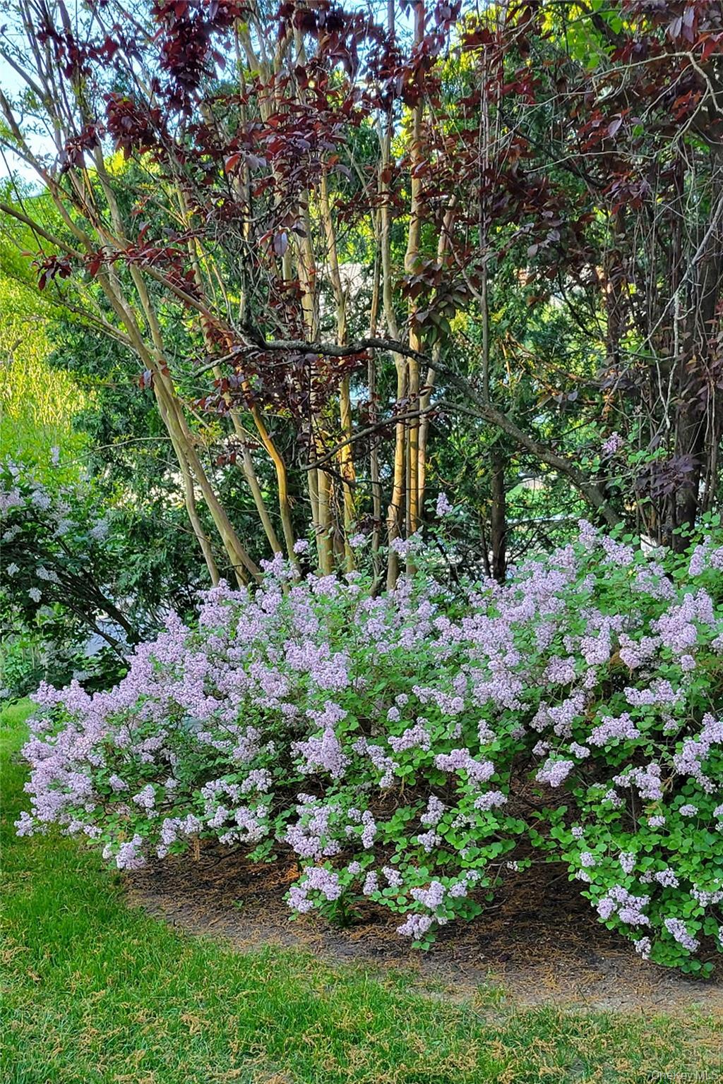 #4 photo, 8 Margaret Avenue, Nesconset , NY 11767