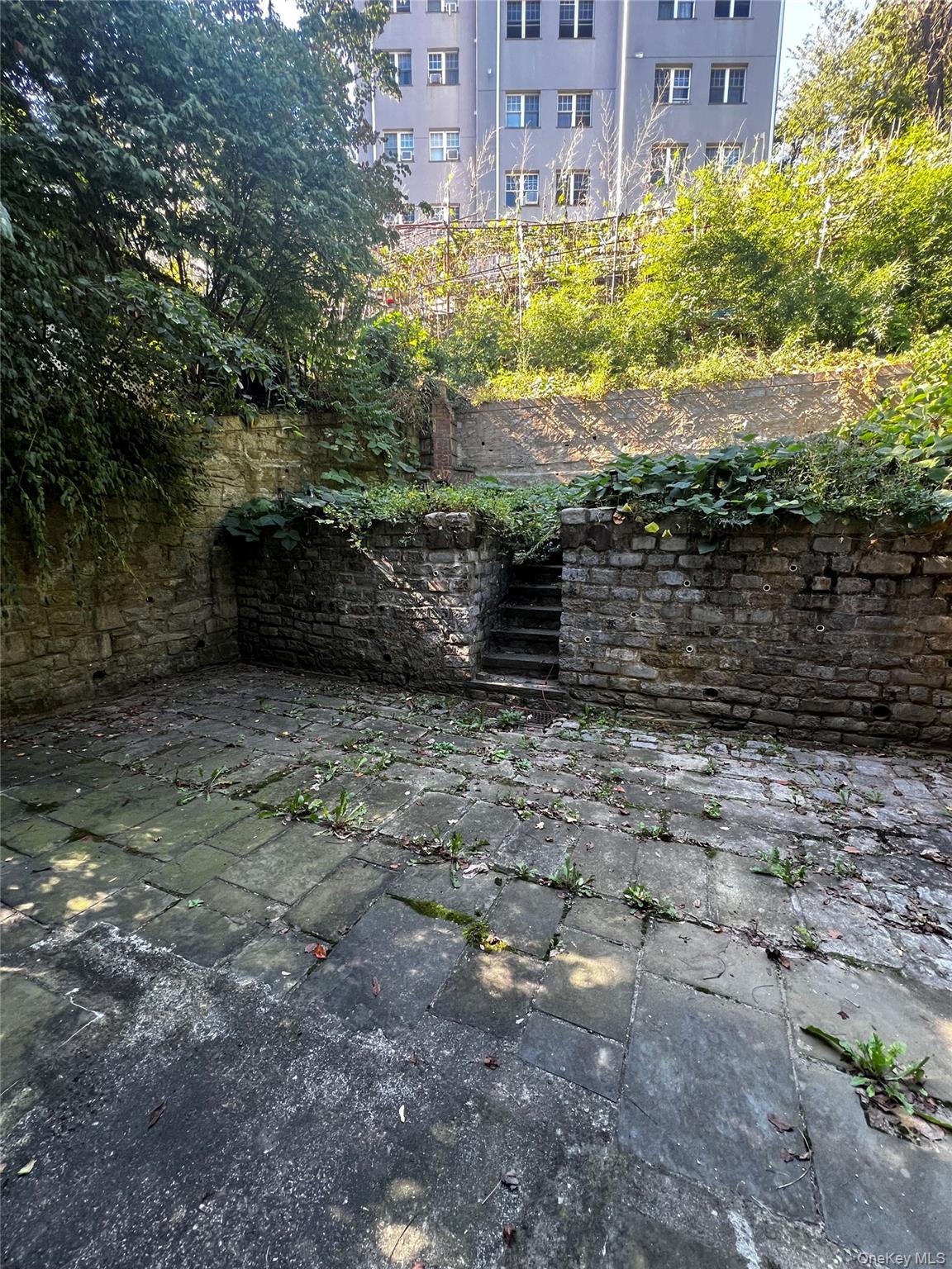 #8 photo, 3461 Irwin Avenue, Bronx , NY 10463