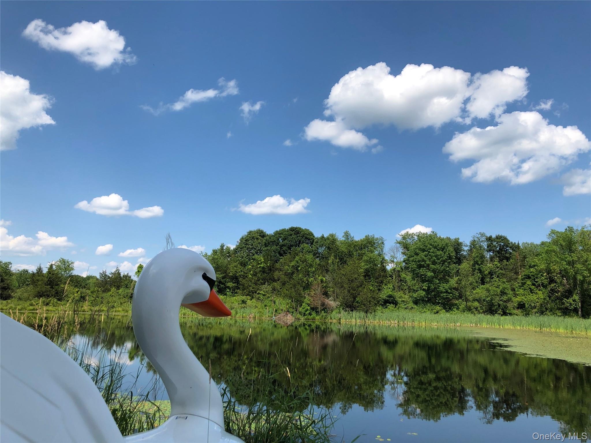 #16 photo, 789 Salisbury Turnpike, Red Hook , NY 12571