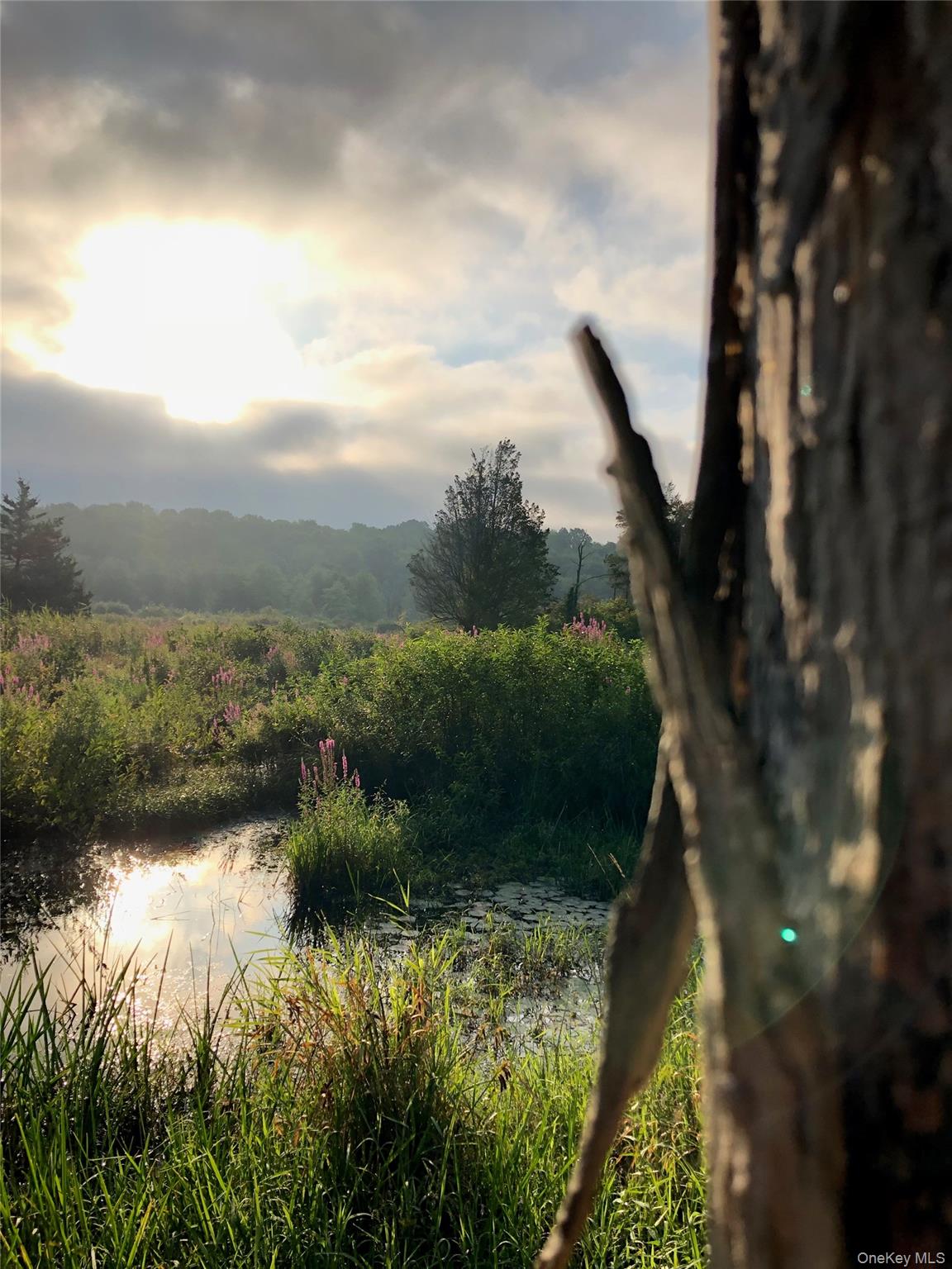 #20 photo, 789 Salisbury Turnpike, Red Hook , NY 12571