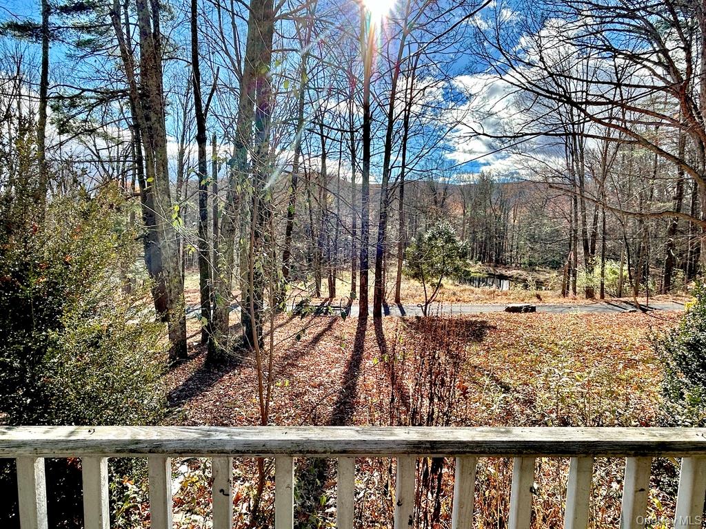 #16 photo, 335 Tempaloni Rd, Spring Glen , NY 12483