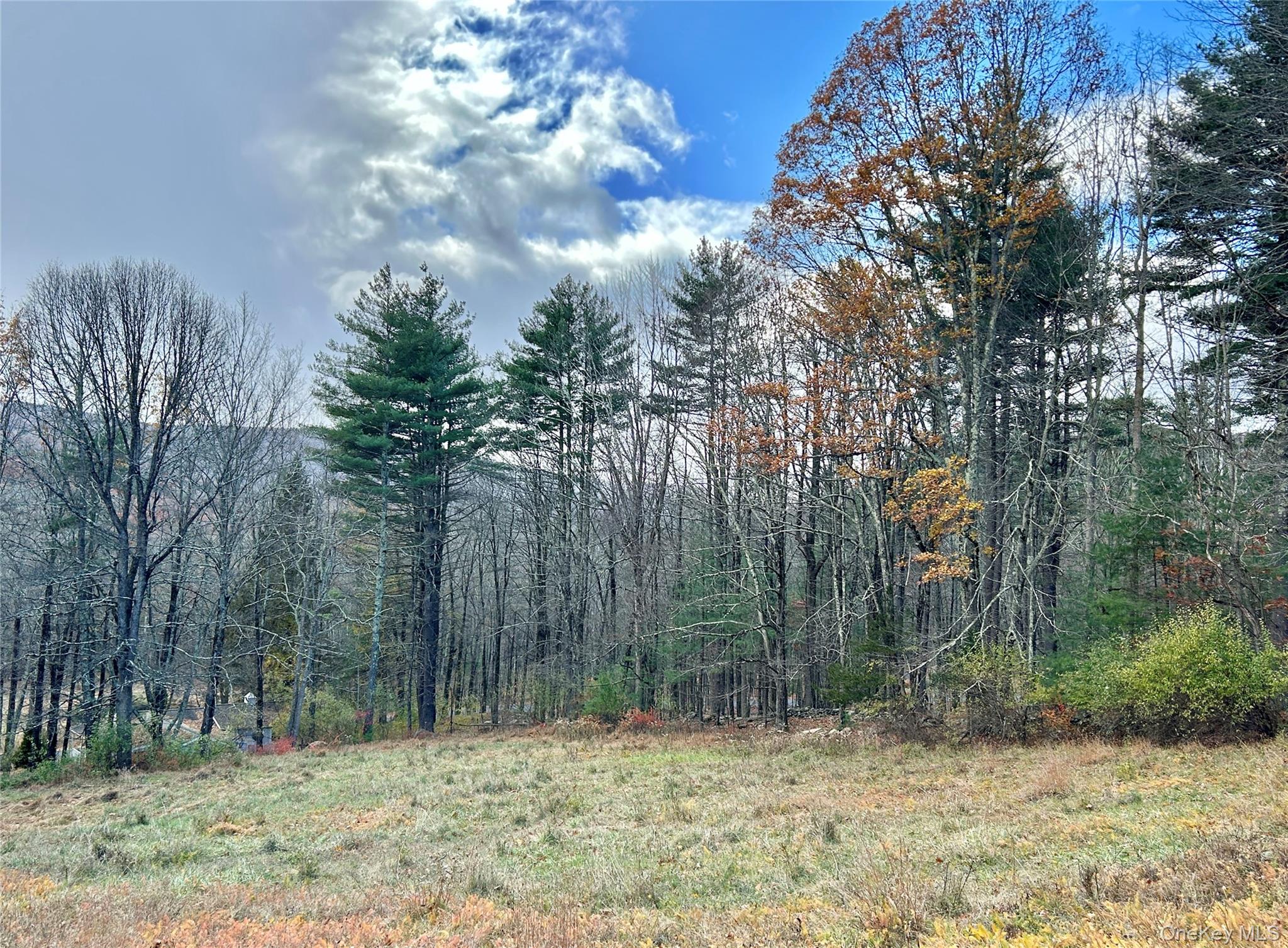 #18 photo, 335 Tempaloni Rd, Spring Glen , NY 12483