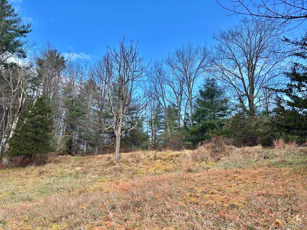 #19 photo, 335 Tempaloni Rd, Spring Glen , NY 12483