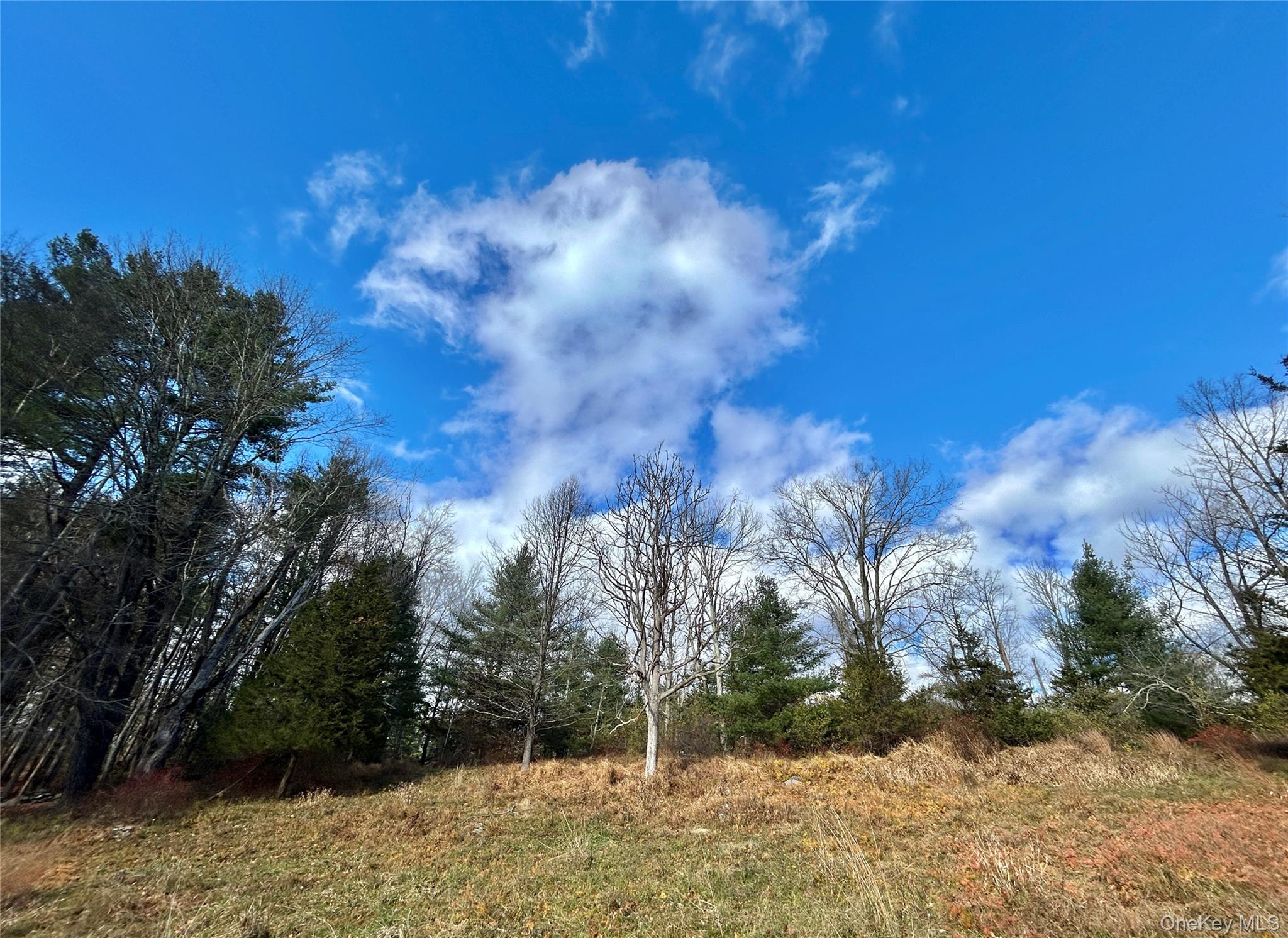 #20 photo, 335 Tempaloni Rd, Spring Glen , NY 12483