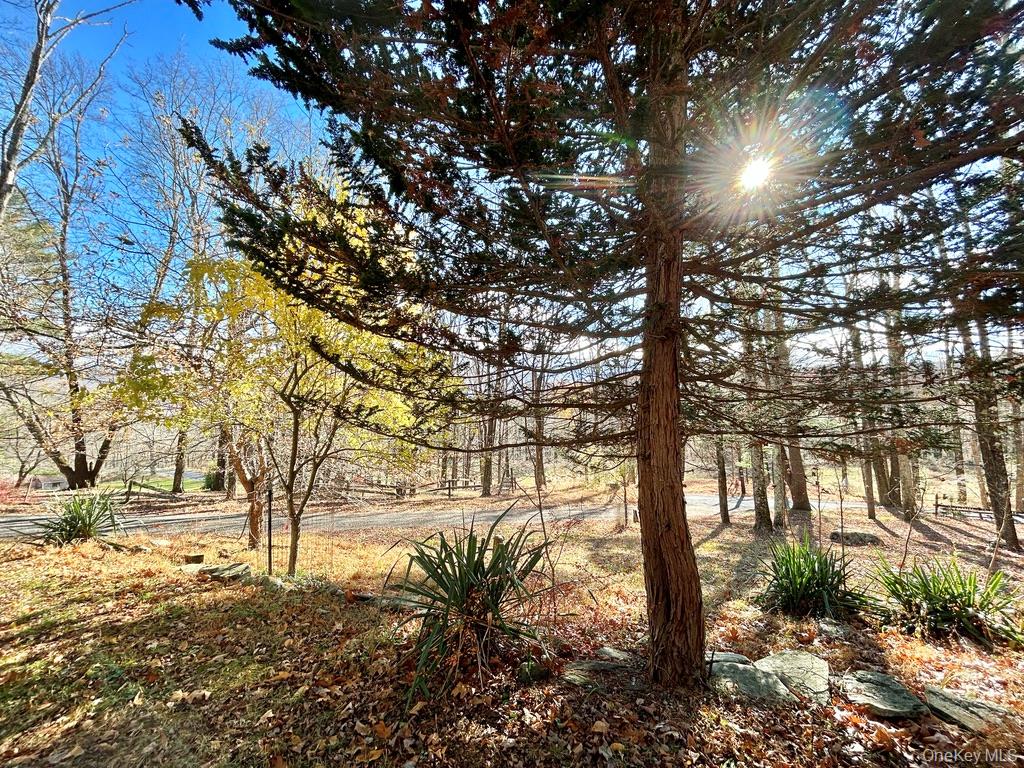 #4 photo, 335 Tempaloni Rd, Spring Glen , NY 12483