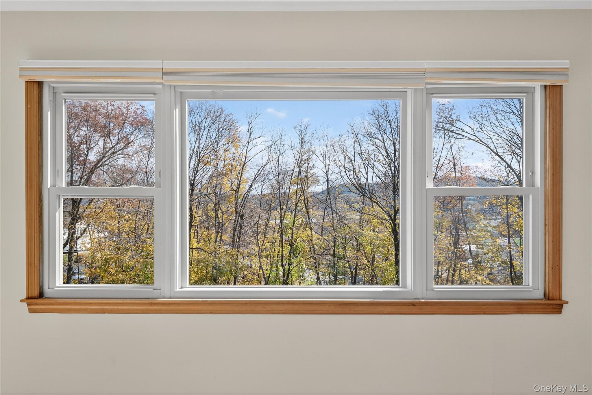 #14 photo, 18 Oakland Avenue, Chester , NY 10918