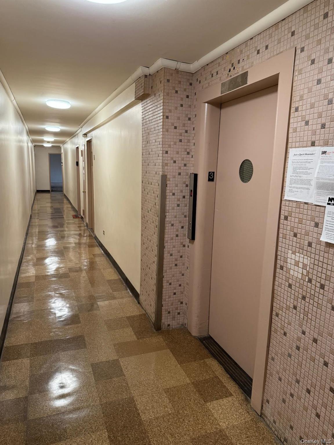 #5 photo, 3520 Tryon Avenue, Bronx , NY 10467