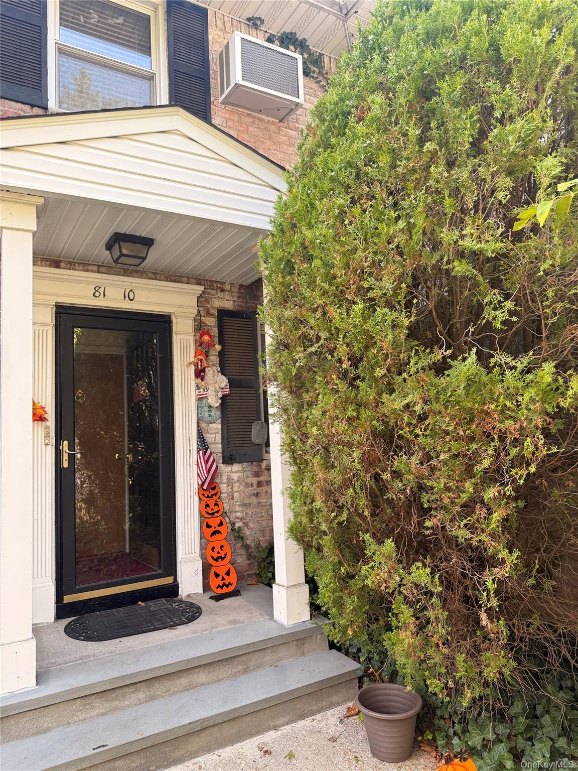 #1 photo, 81-10 Langdale Street, New Hyde Park , NY 11040