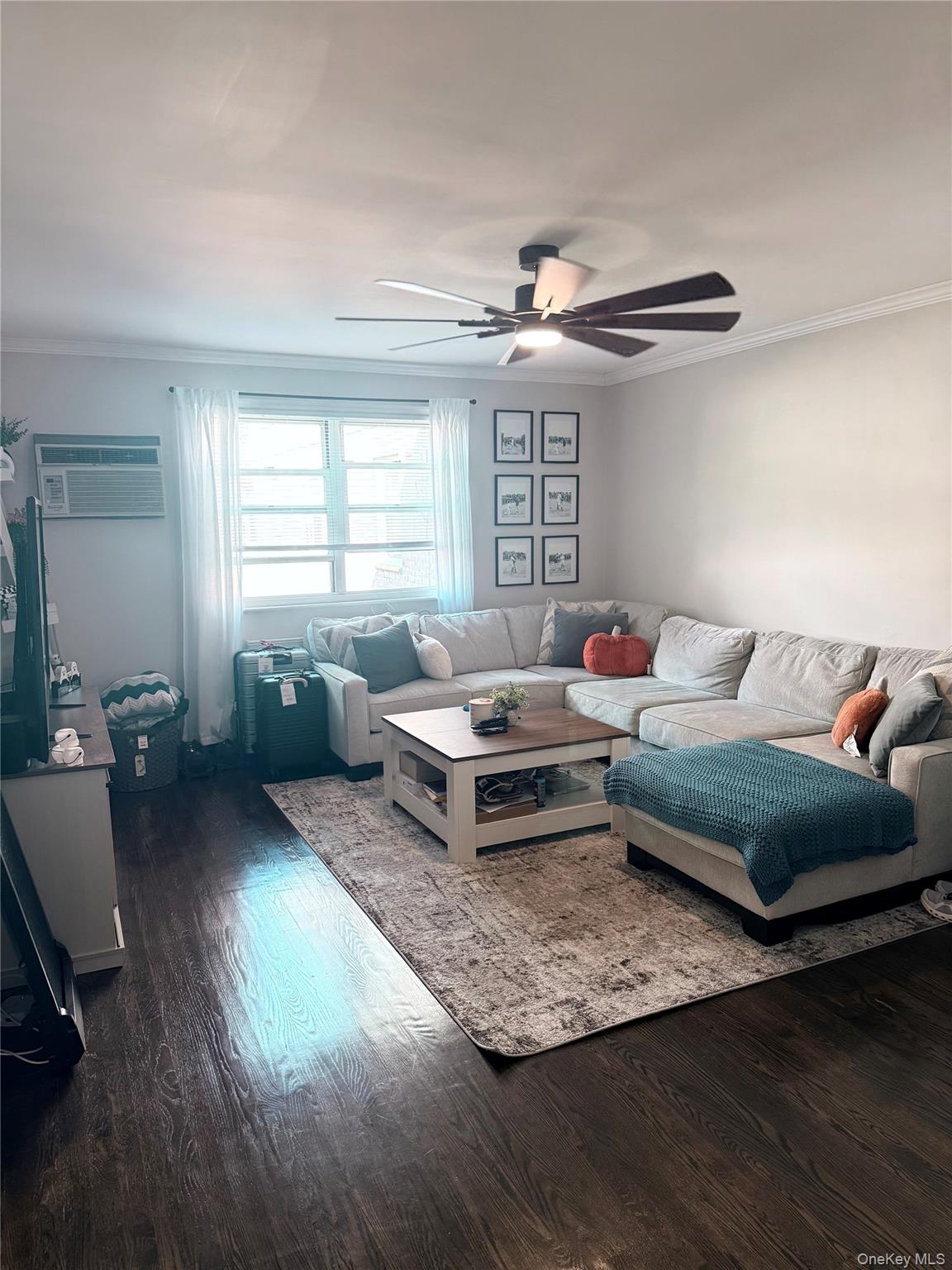 #3 photo, 81-10 Langdale Street, New Hyde Park , NY 11040