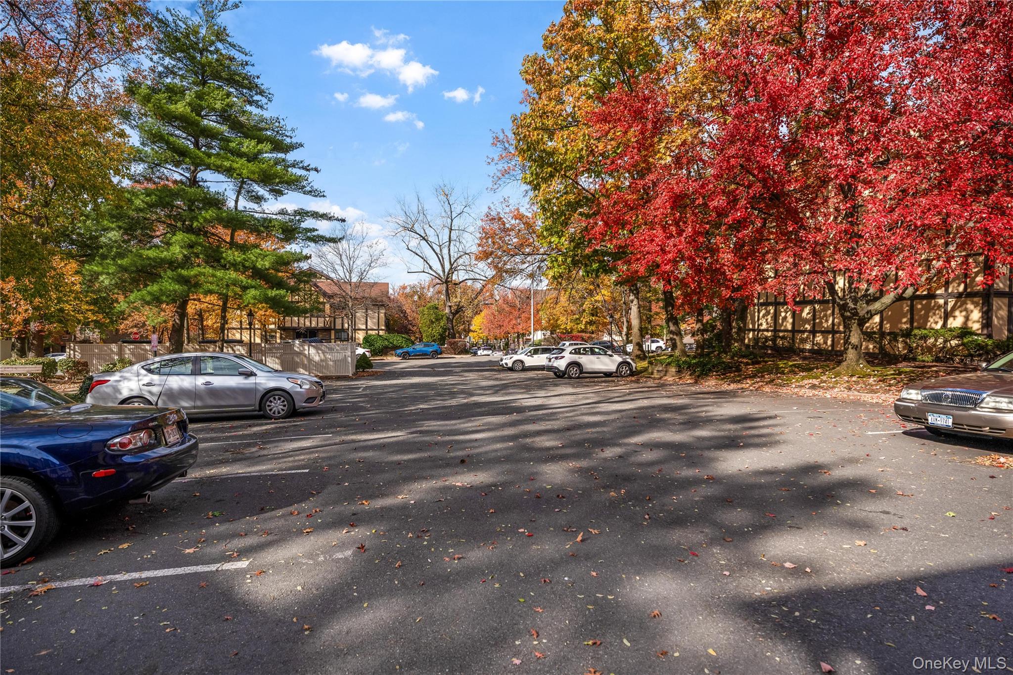 #7 photo, 155A Devon Loop, Staten Island , NY 10314