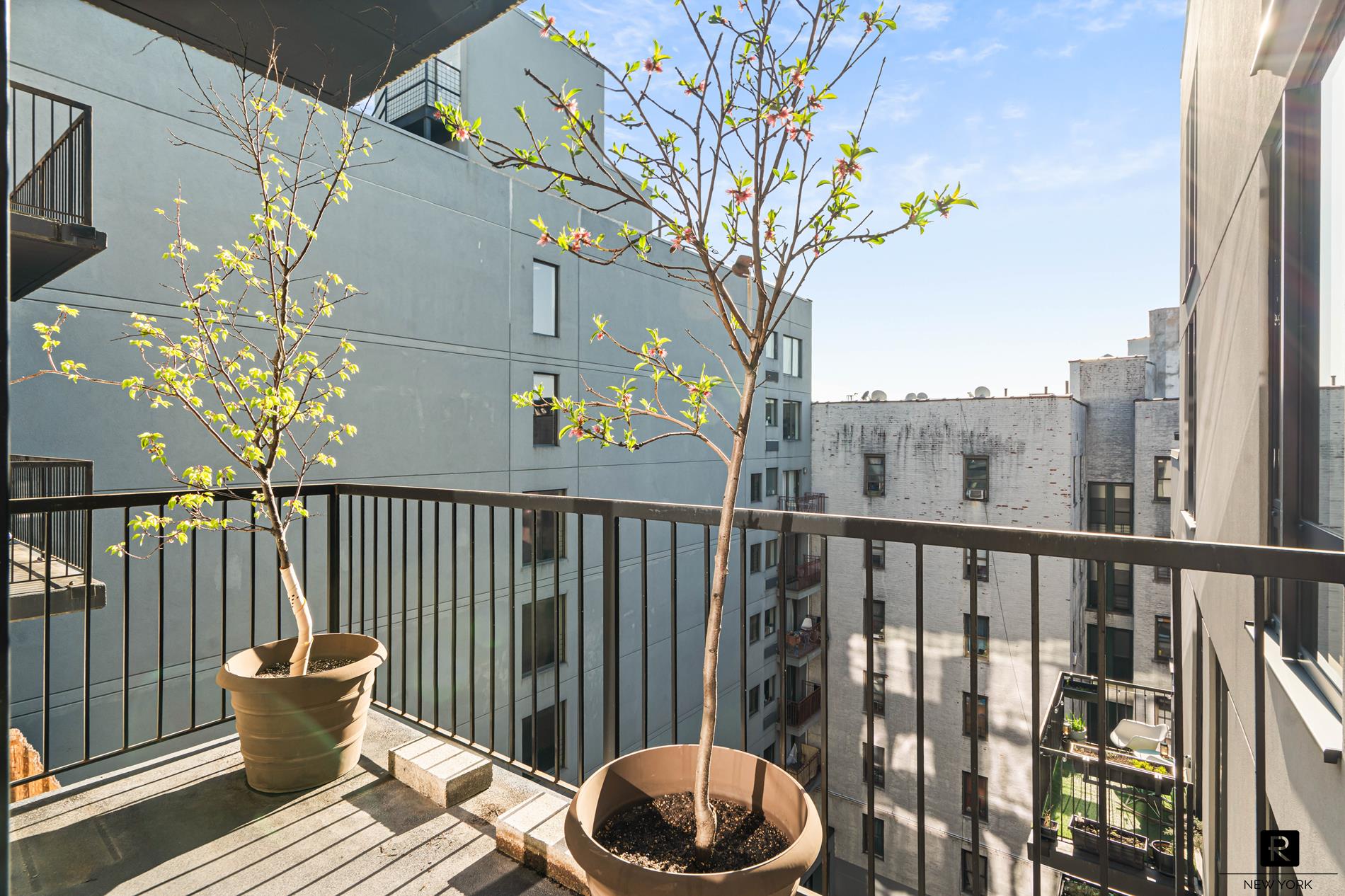 #9 photo, 2100 Bedford Avenue, Flatbush , NY 11226