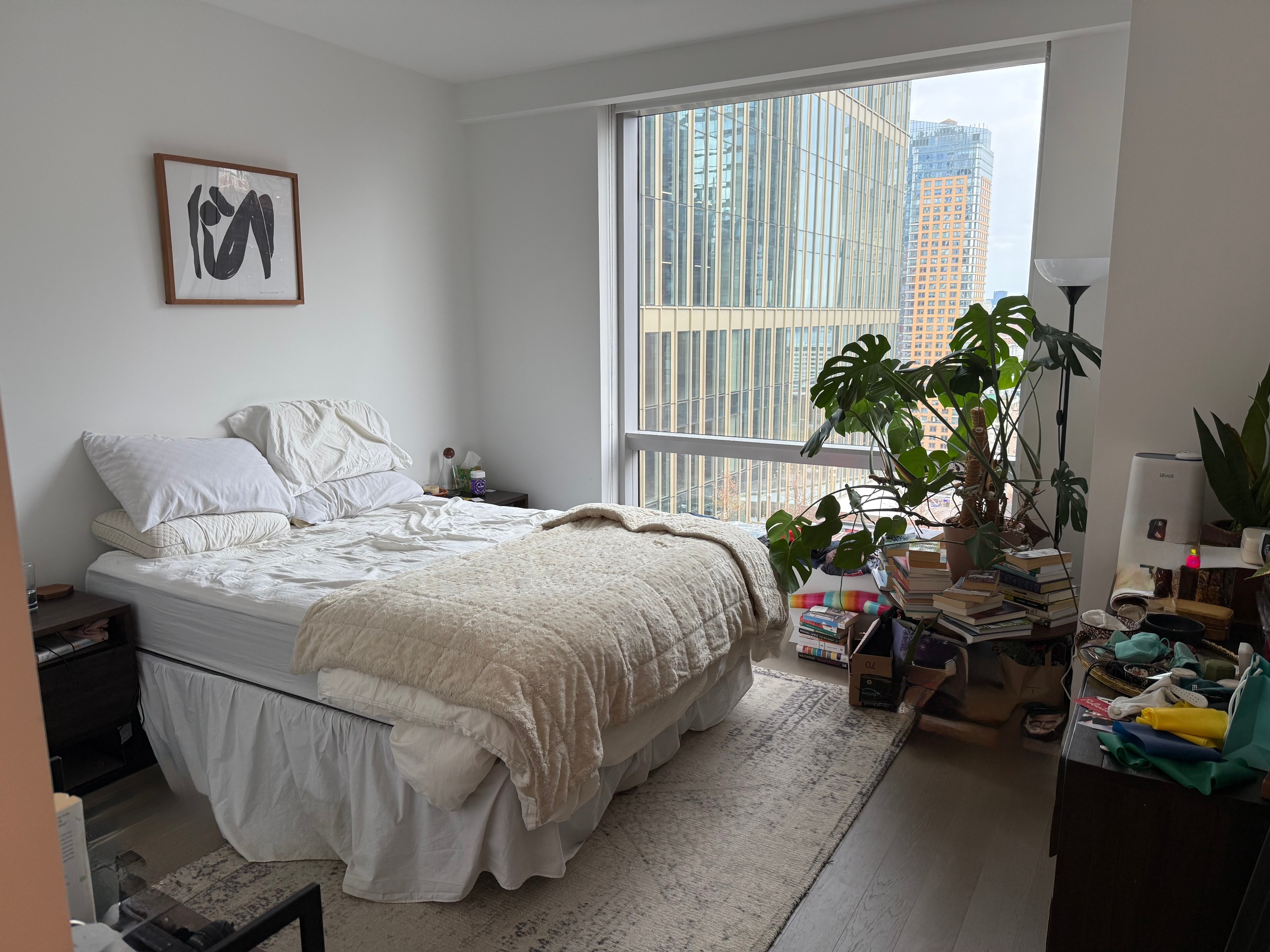 #4 photo, 1 City Point, Downtown Brooklyn , NY 11201