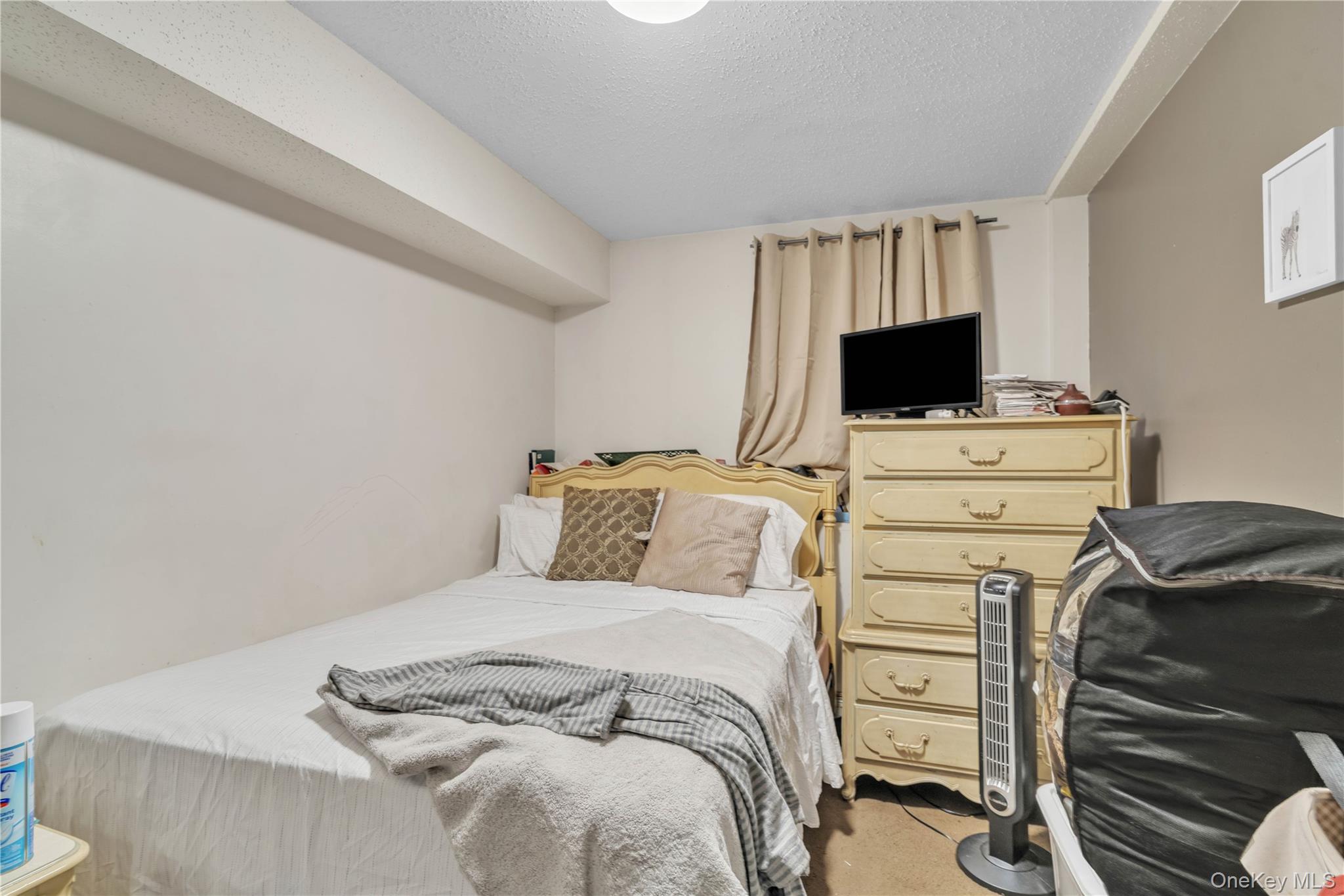 #13 photo, 221 Macdougal Street, Brooklyn , NY 11233